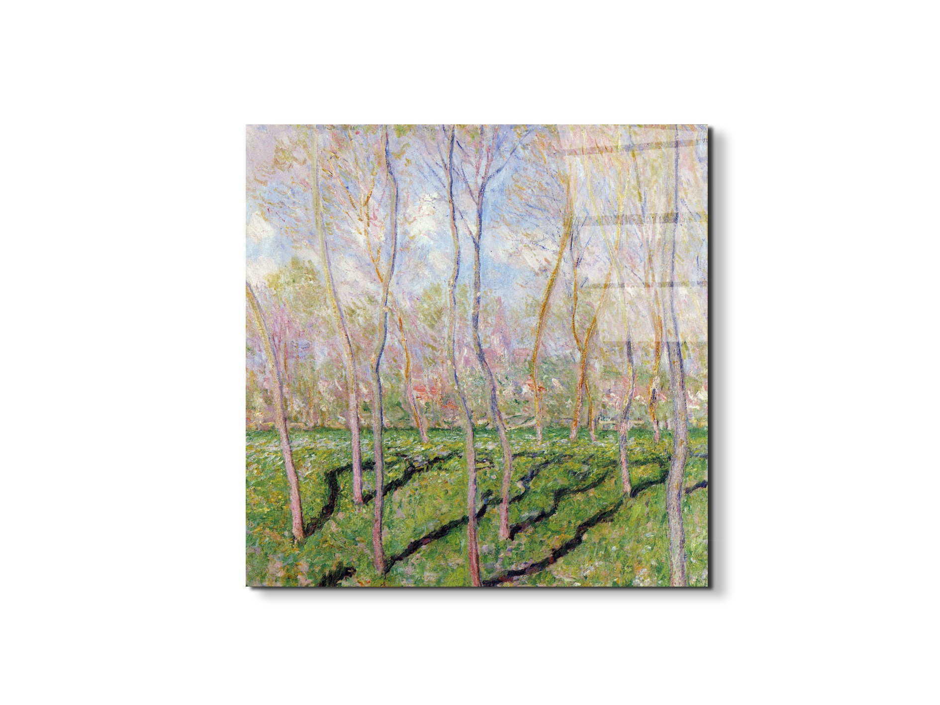 trees-in-winter-look-at-bennecourtas92001-#materiale_EarthArt Total Gloss/dimensioni_58x58