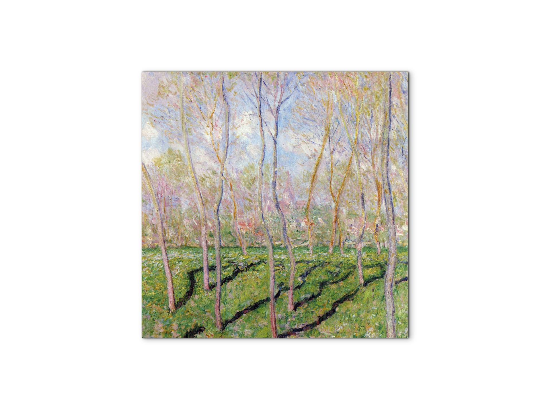 trees-in-winter-look-at-bennecourtas92001-#materiale_MetalArt Materic/dimensioni_58x58