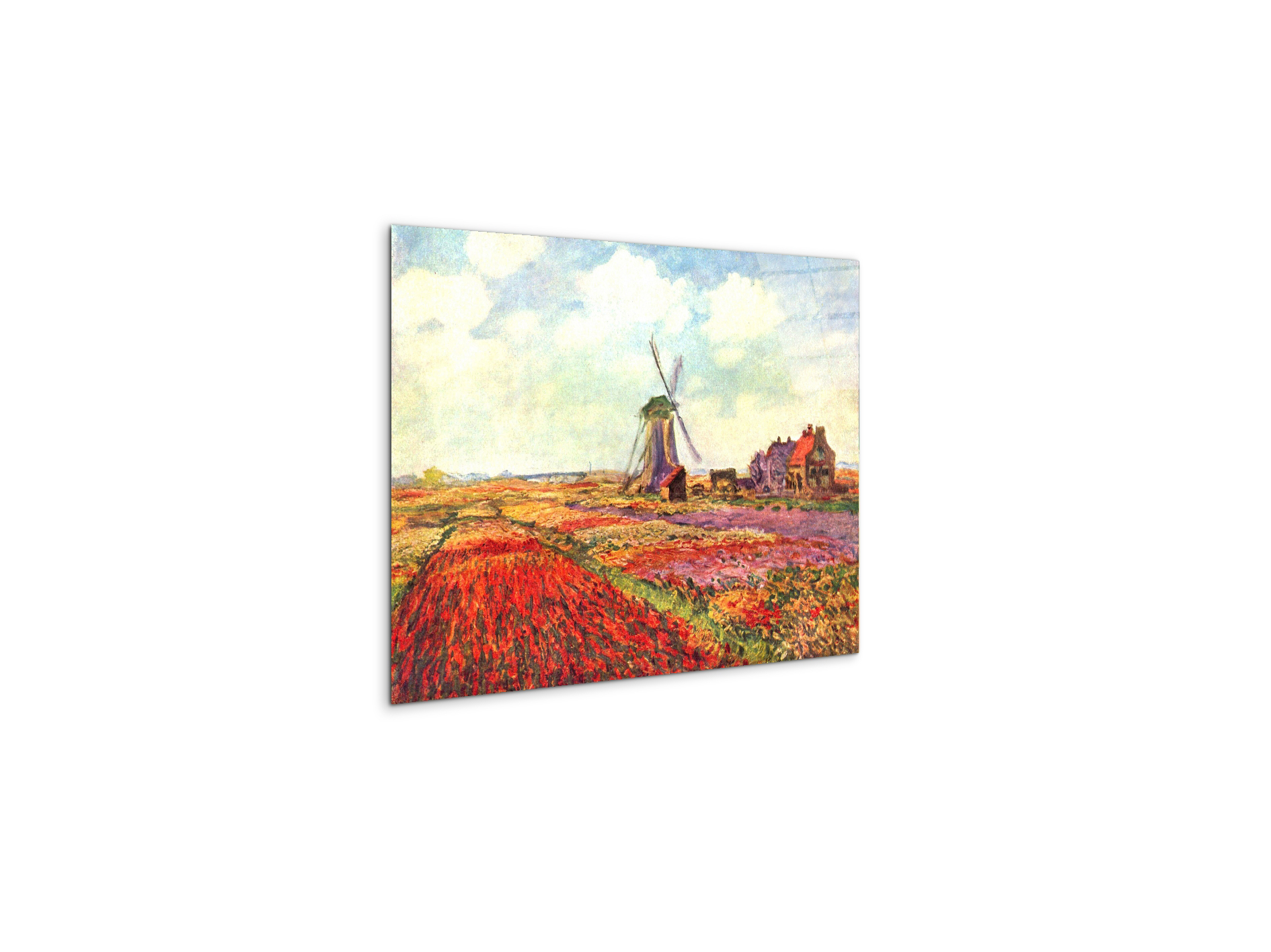 tulips-of-holland-as92005-