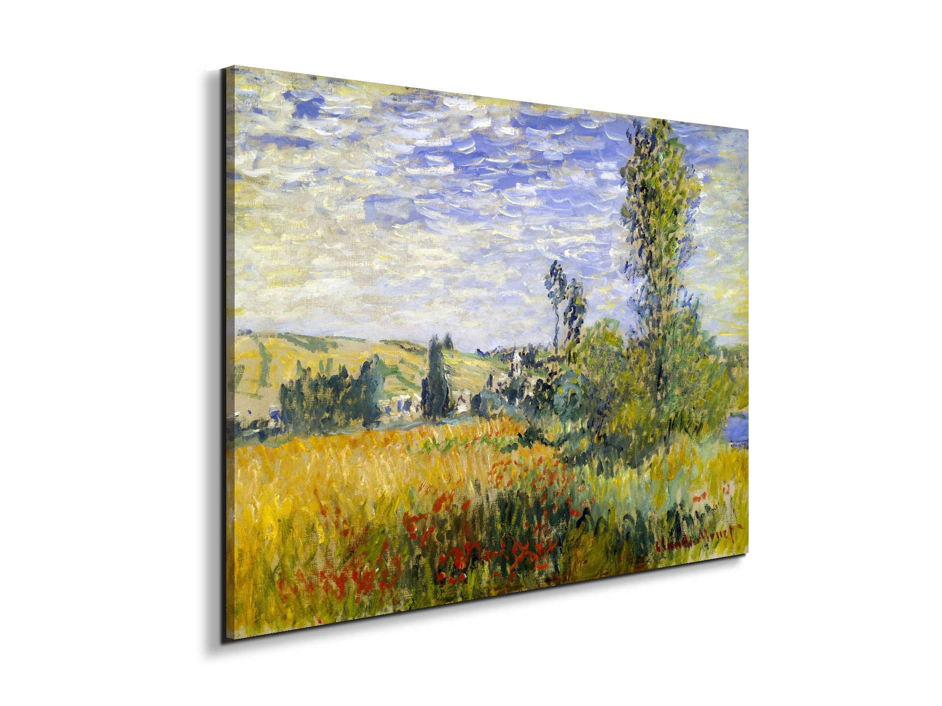 vetheuilas92009-