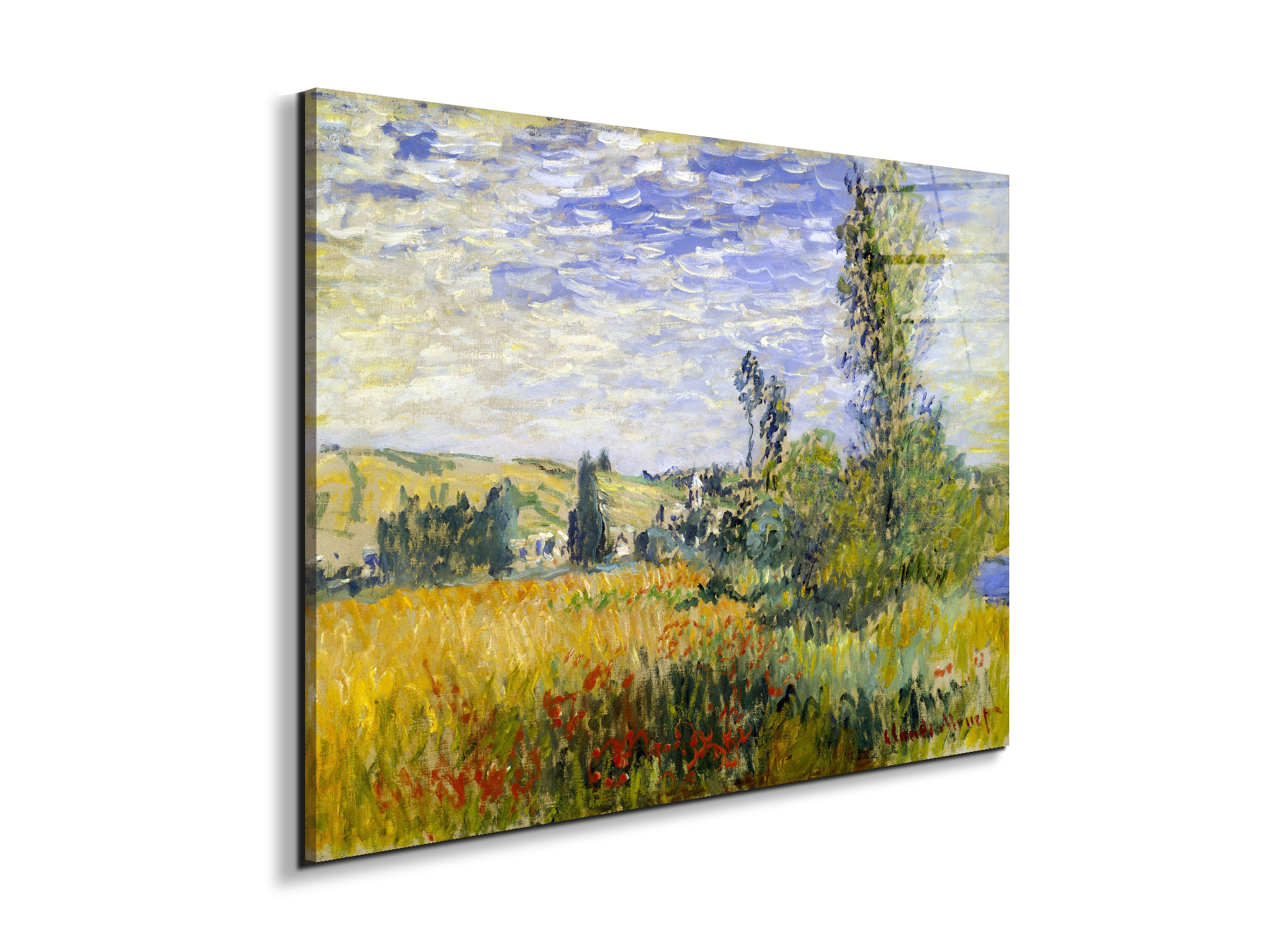 vetheuilas92009-