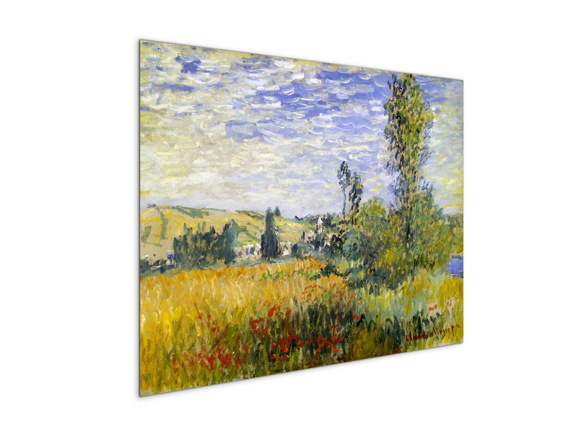 vetheuilas92009-