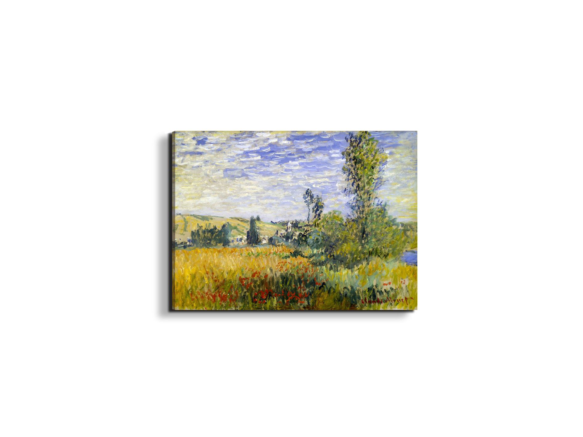 vetheuilas92009-