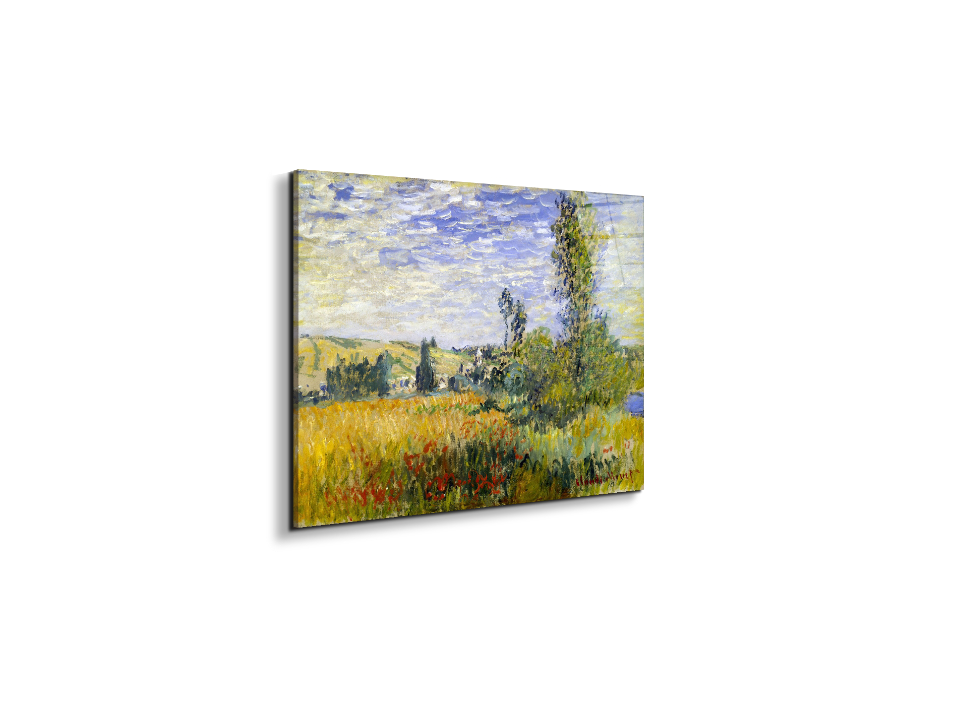 vetheuilas92009-