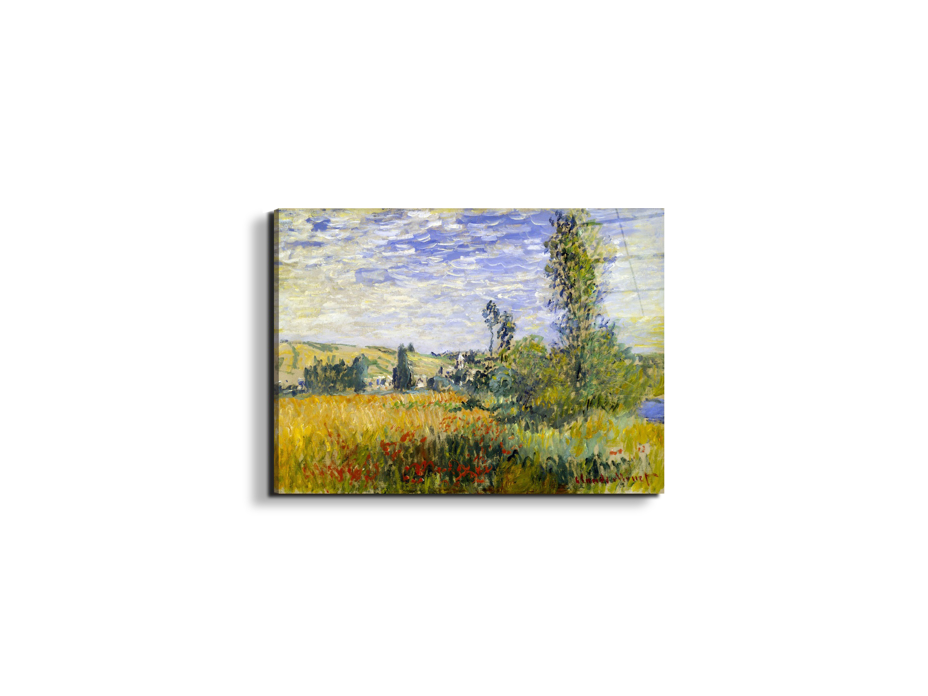 vetheuilas92009-
