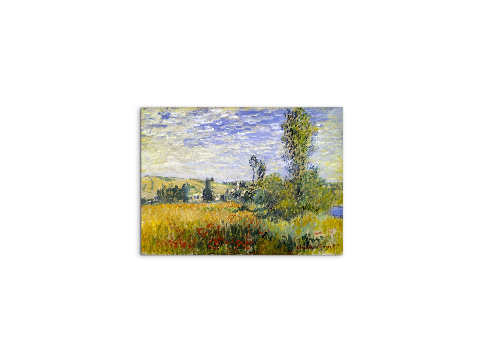 vetheuilas92009-