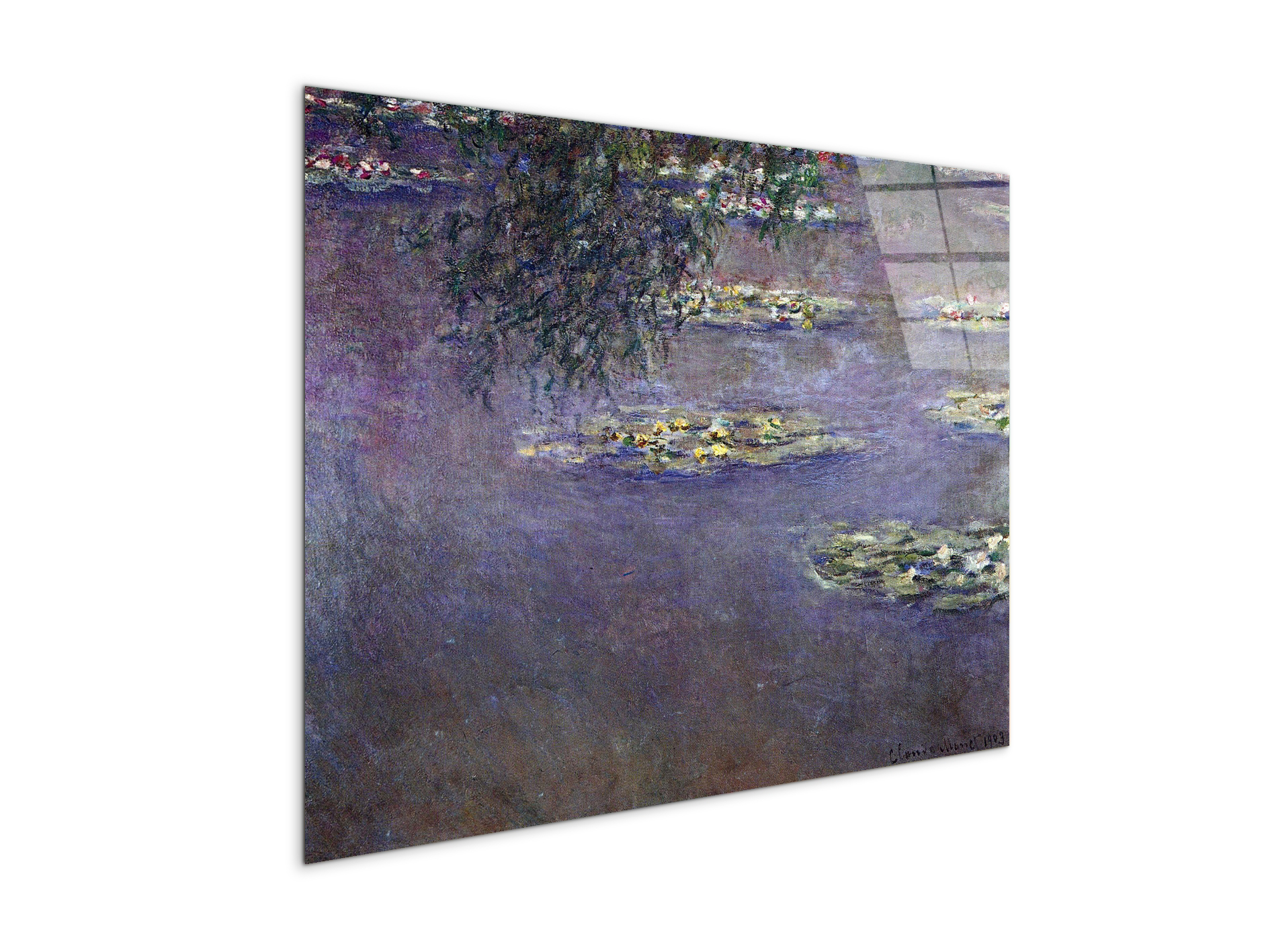 water-lilies-water-landscape-ias92017-