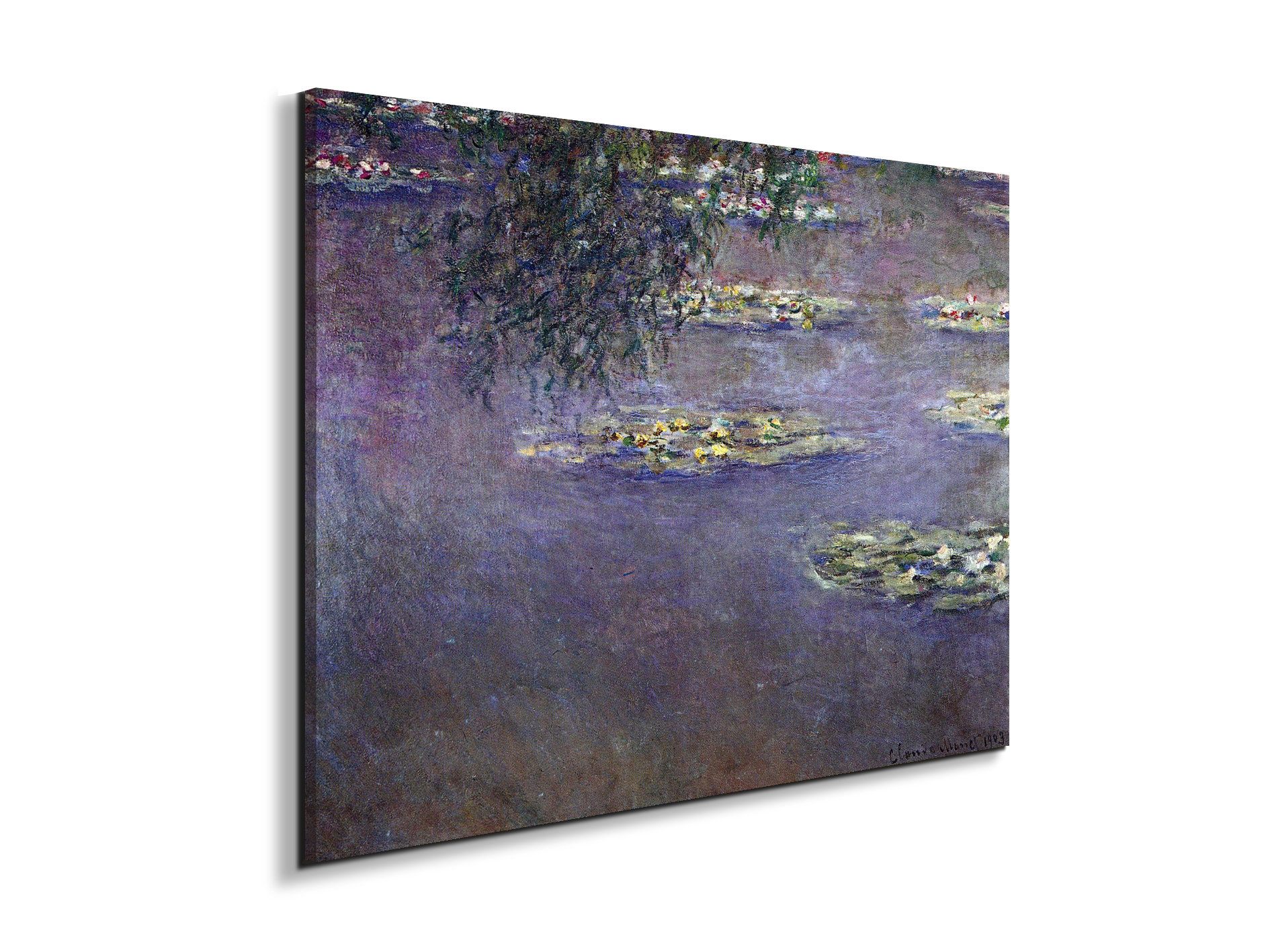 water-lilies-water-landscape-ias92017-