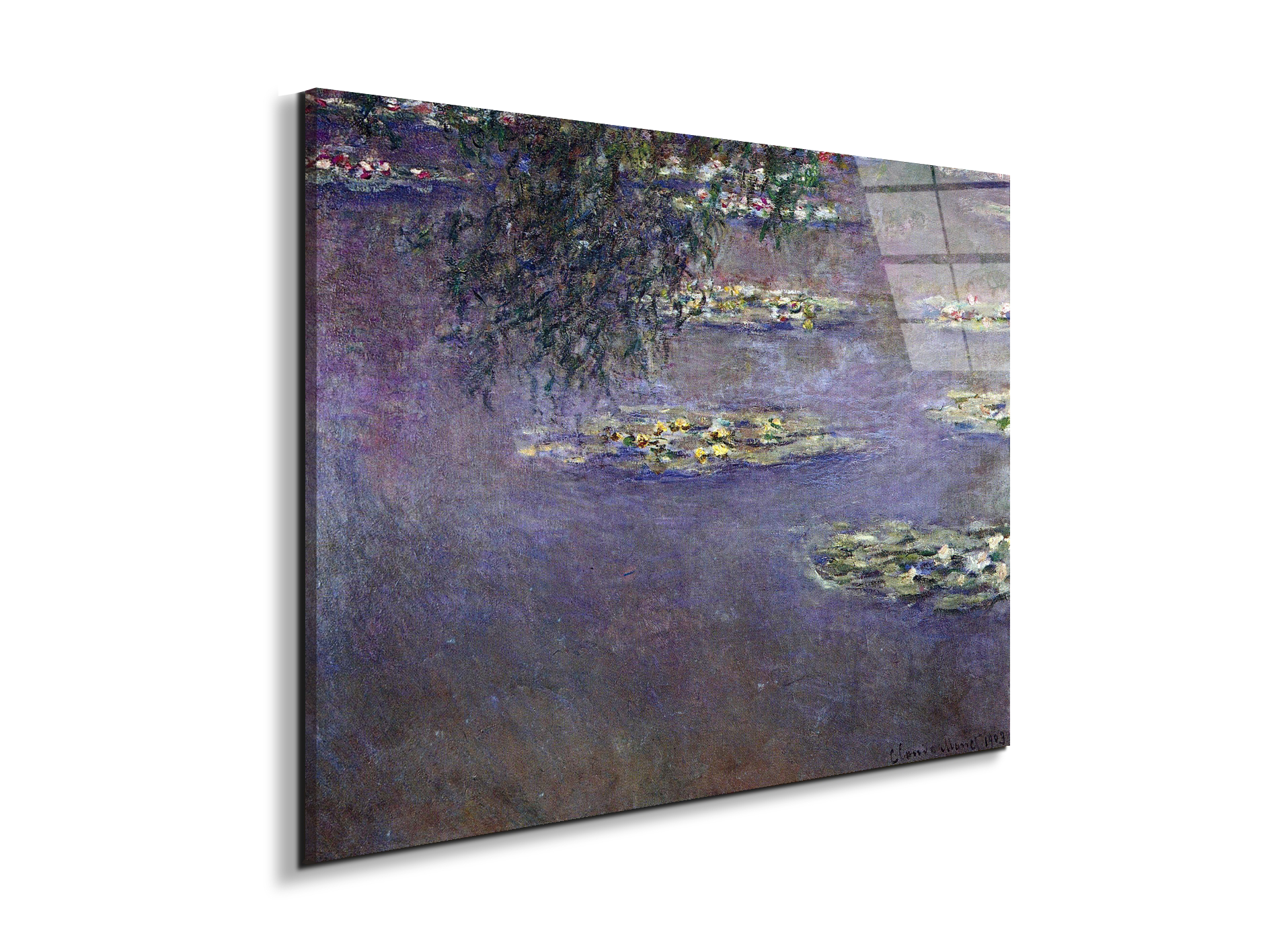 water-lilies-water-landscape-ias92017-