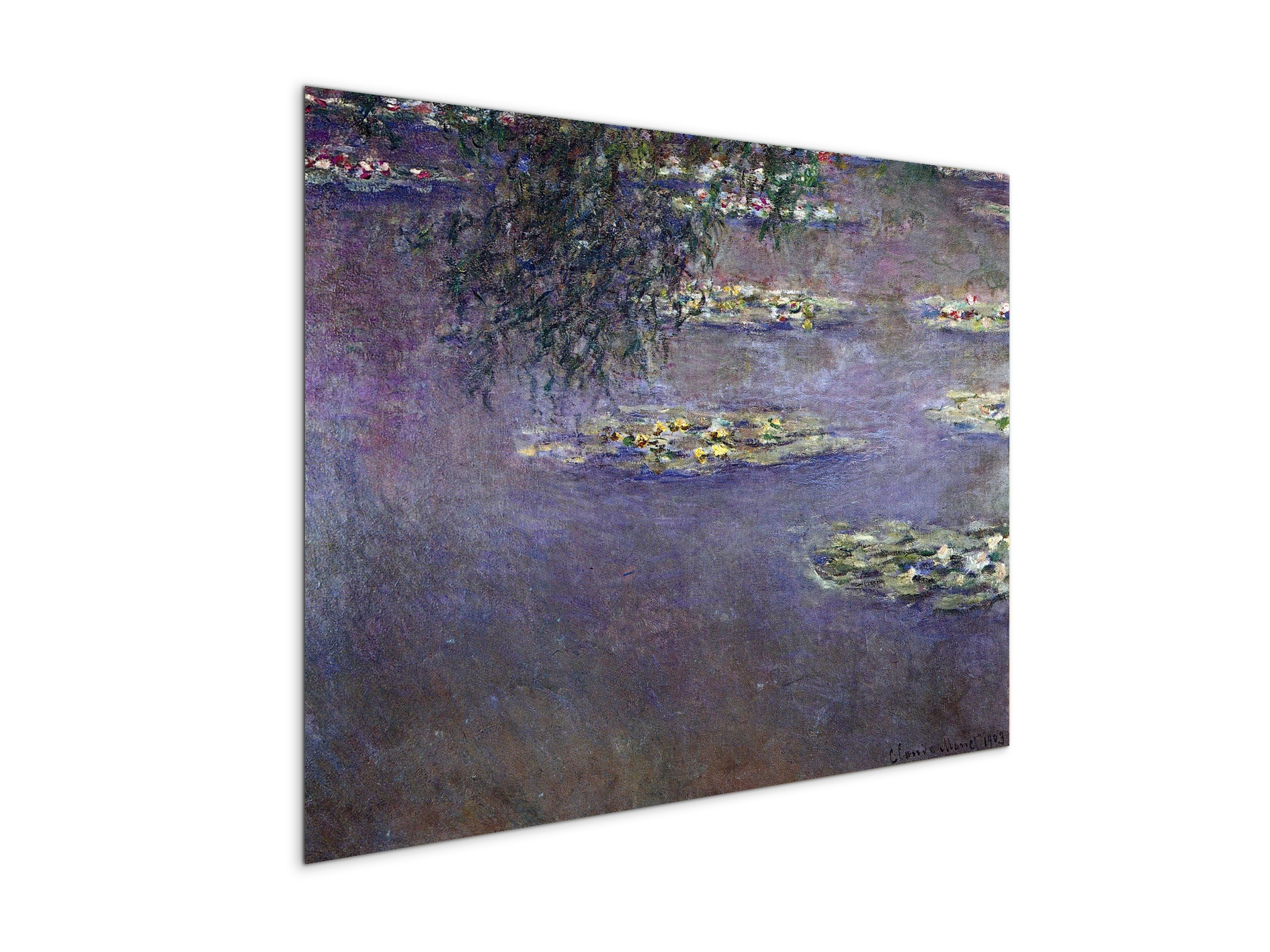 water-lilies-water-landscape-ias92017-