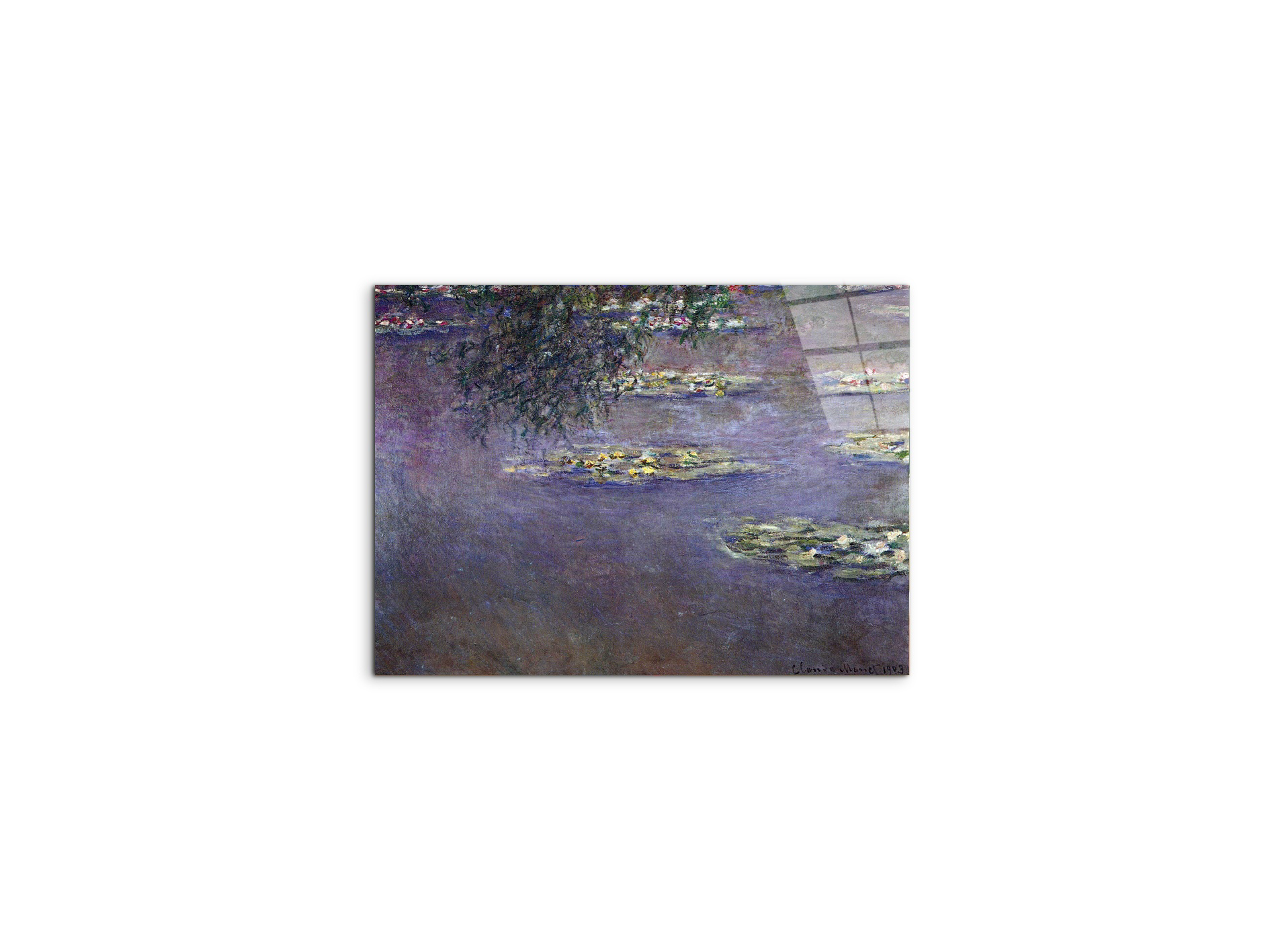 water-lilies-water-landscape-ias92017-