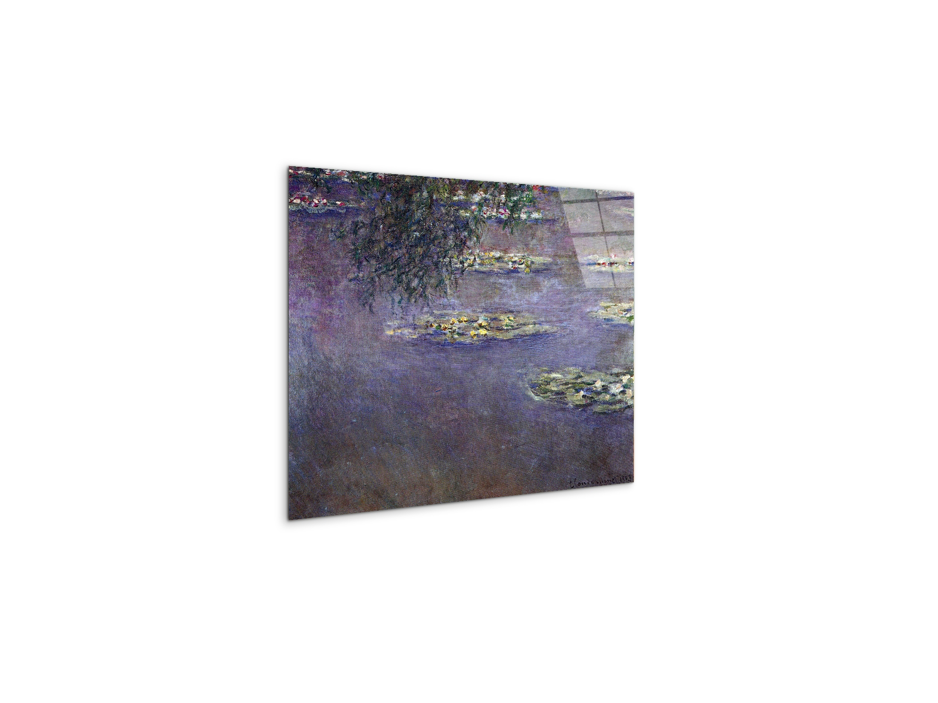 water-lilies-water-landscape-ias92017-