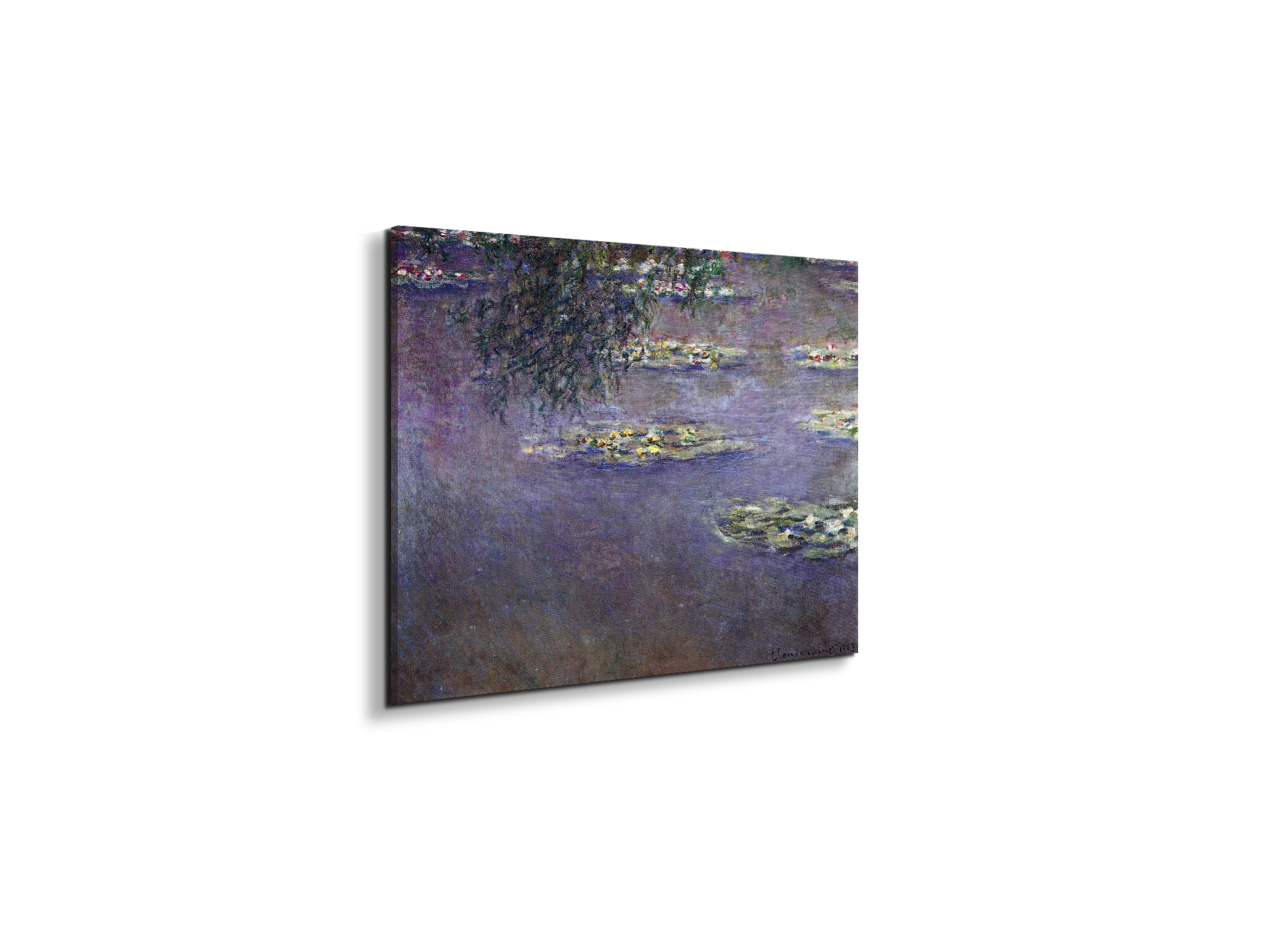 water-lilies-water-landscape-ias92017-