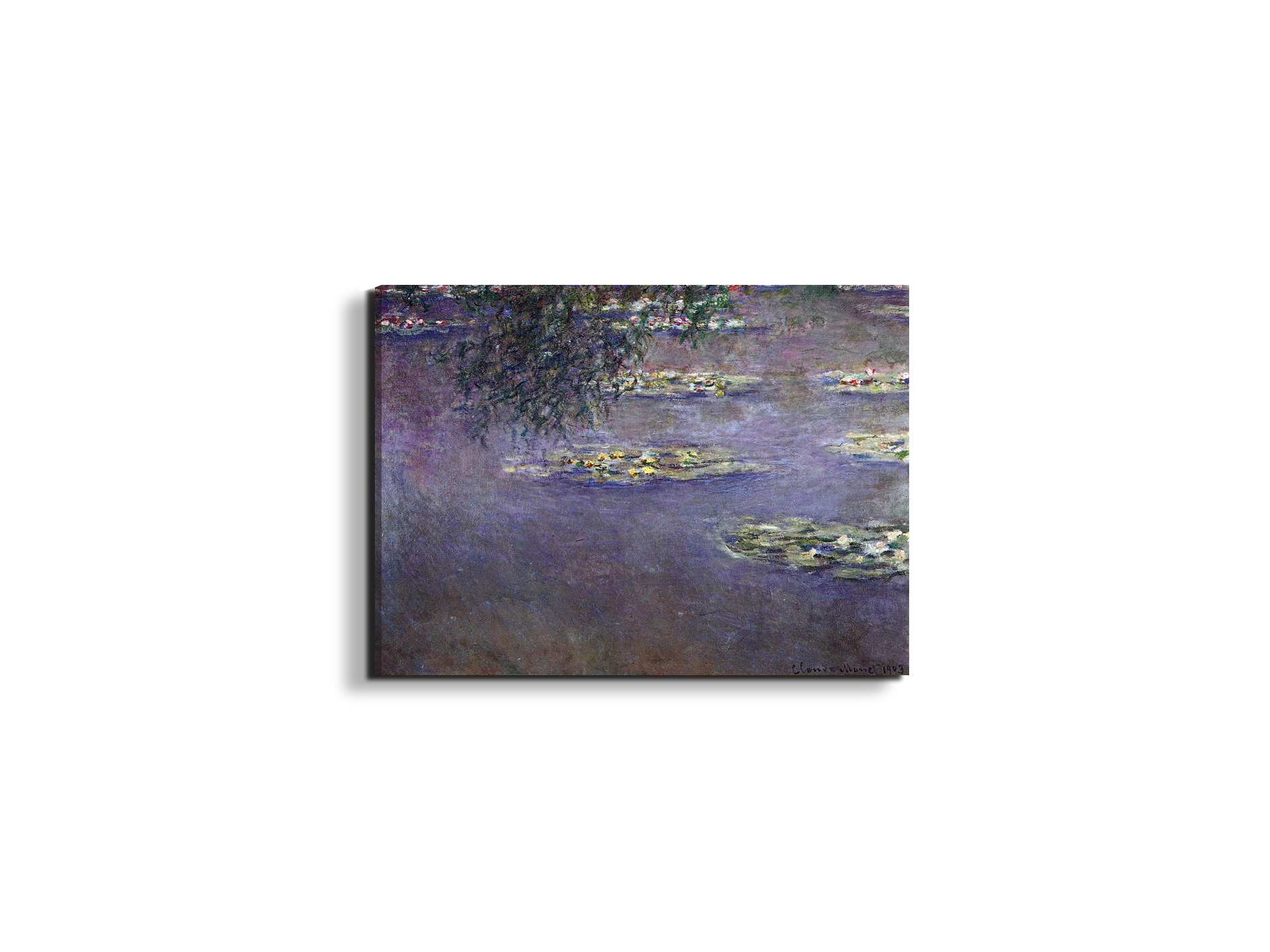 water-lilies-water-landscape-ias92017-