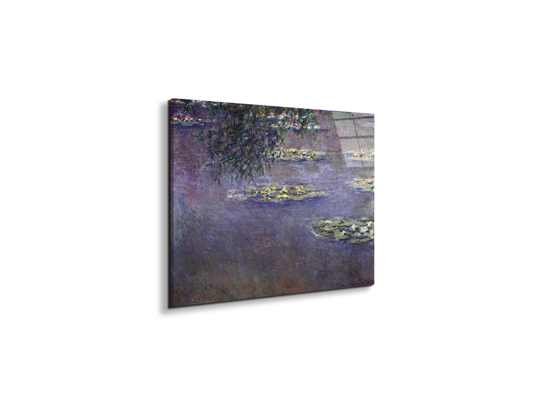 water-lilies-water-landscape-ias92017-