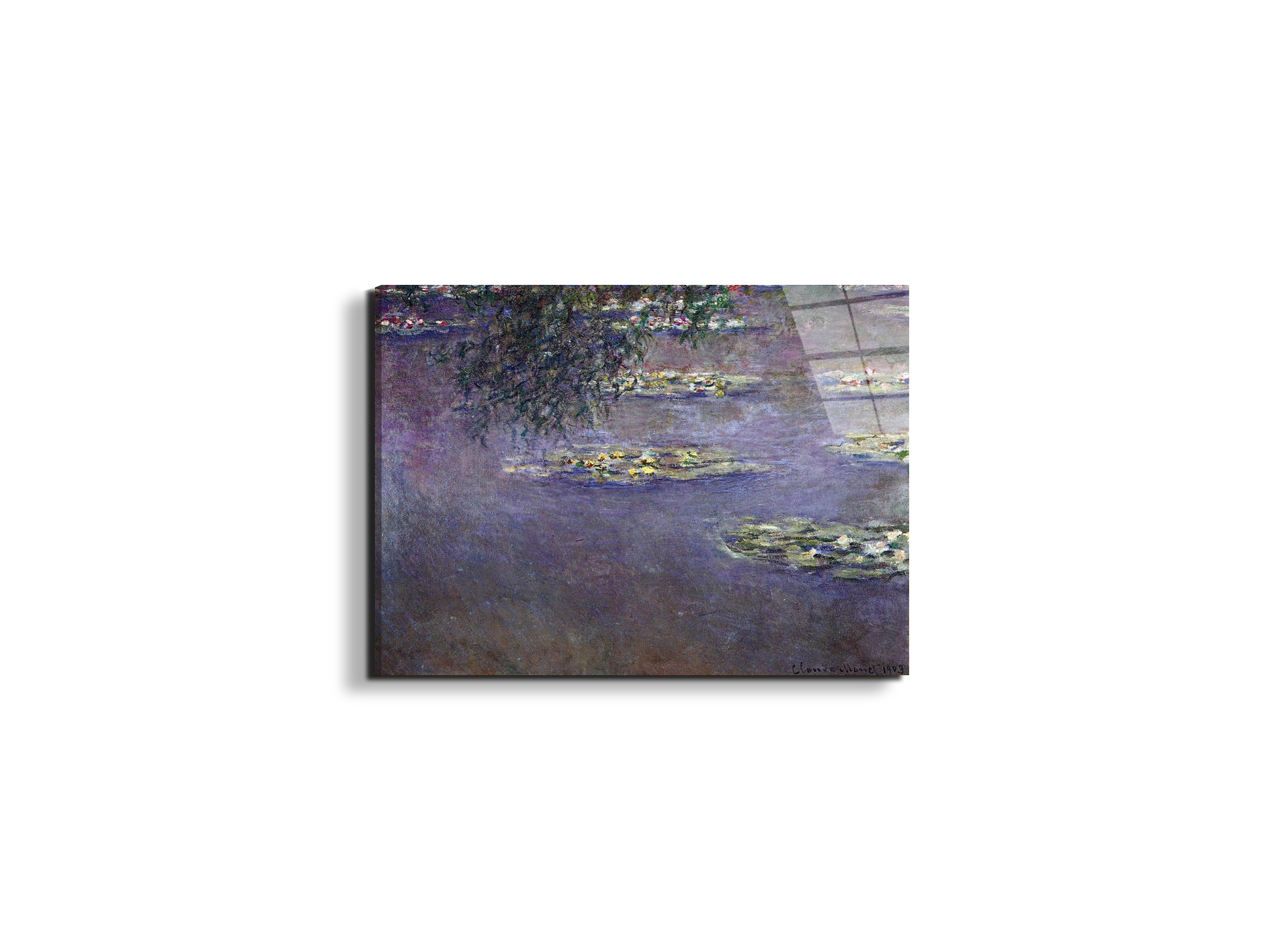water-lilies-water-landscape-ias92017-