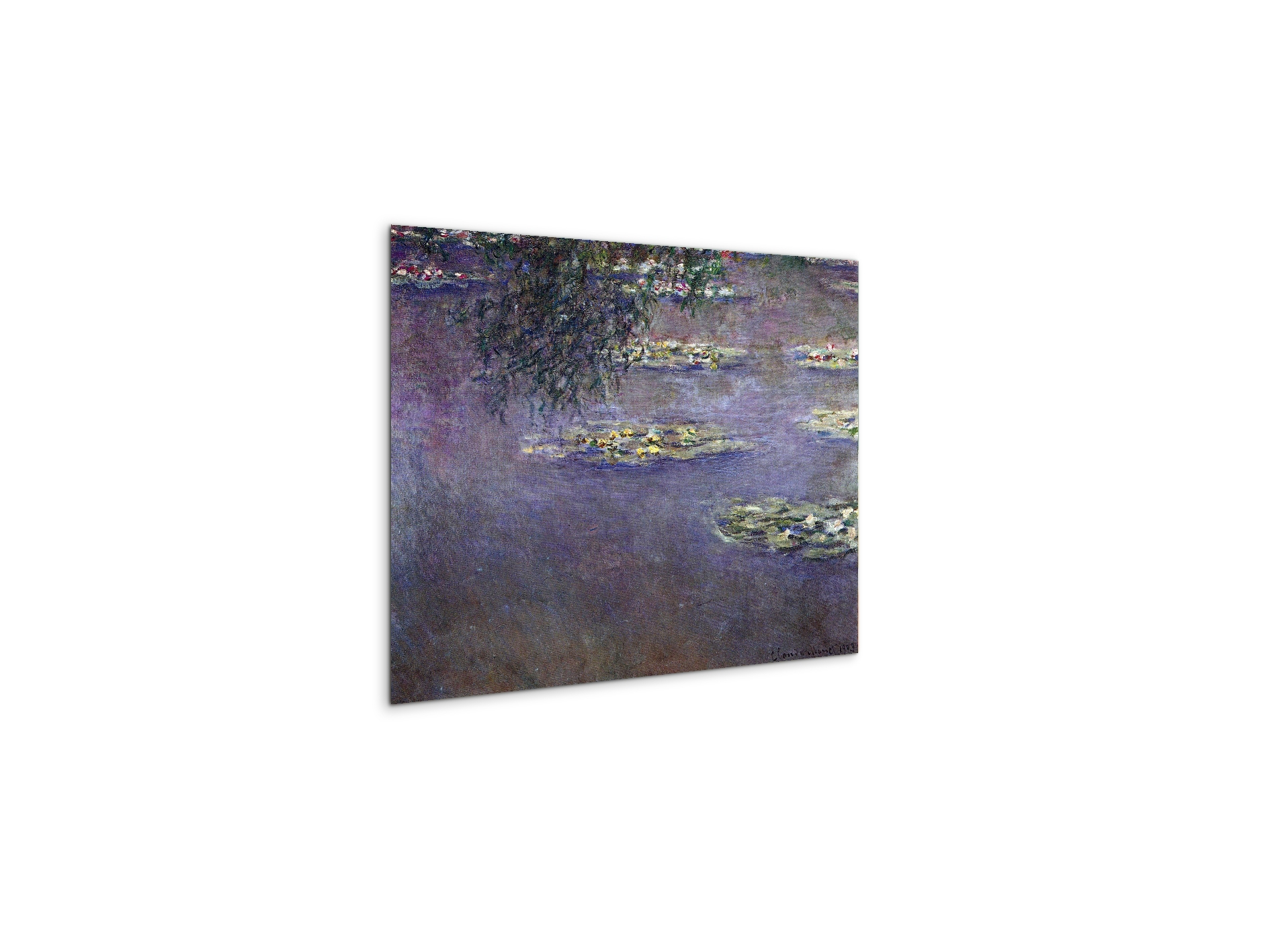 water-lilies-water-landscape-ias92017-