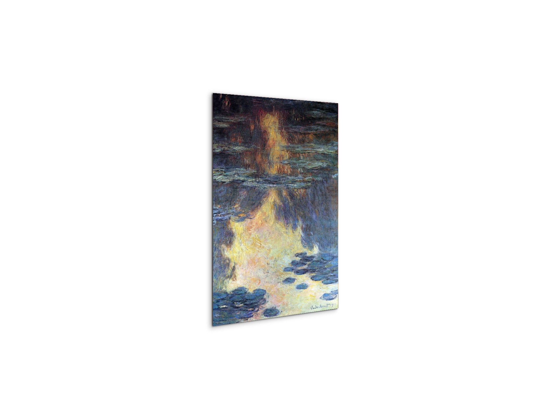 water-lilies-water-landscape-iias92019-