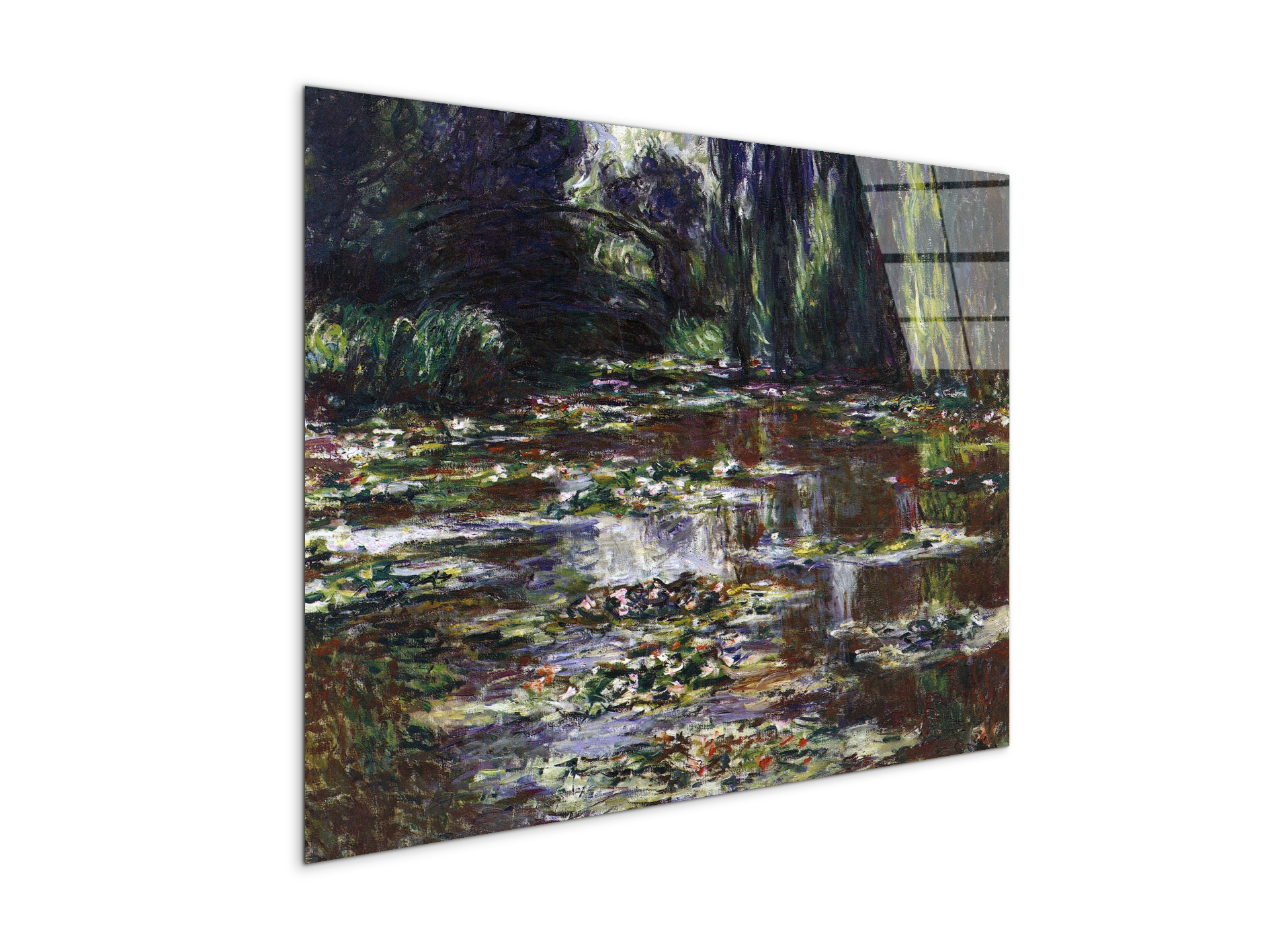 water-lilies-water-landscape-iiias92021-