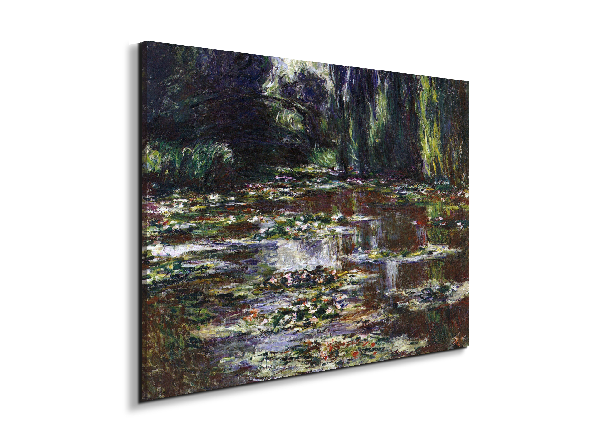 water-lilies-water-landscape-iiias92021-