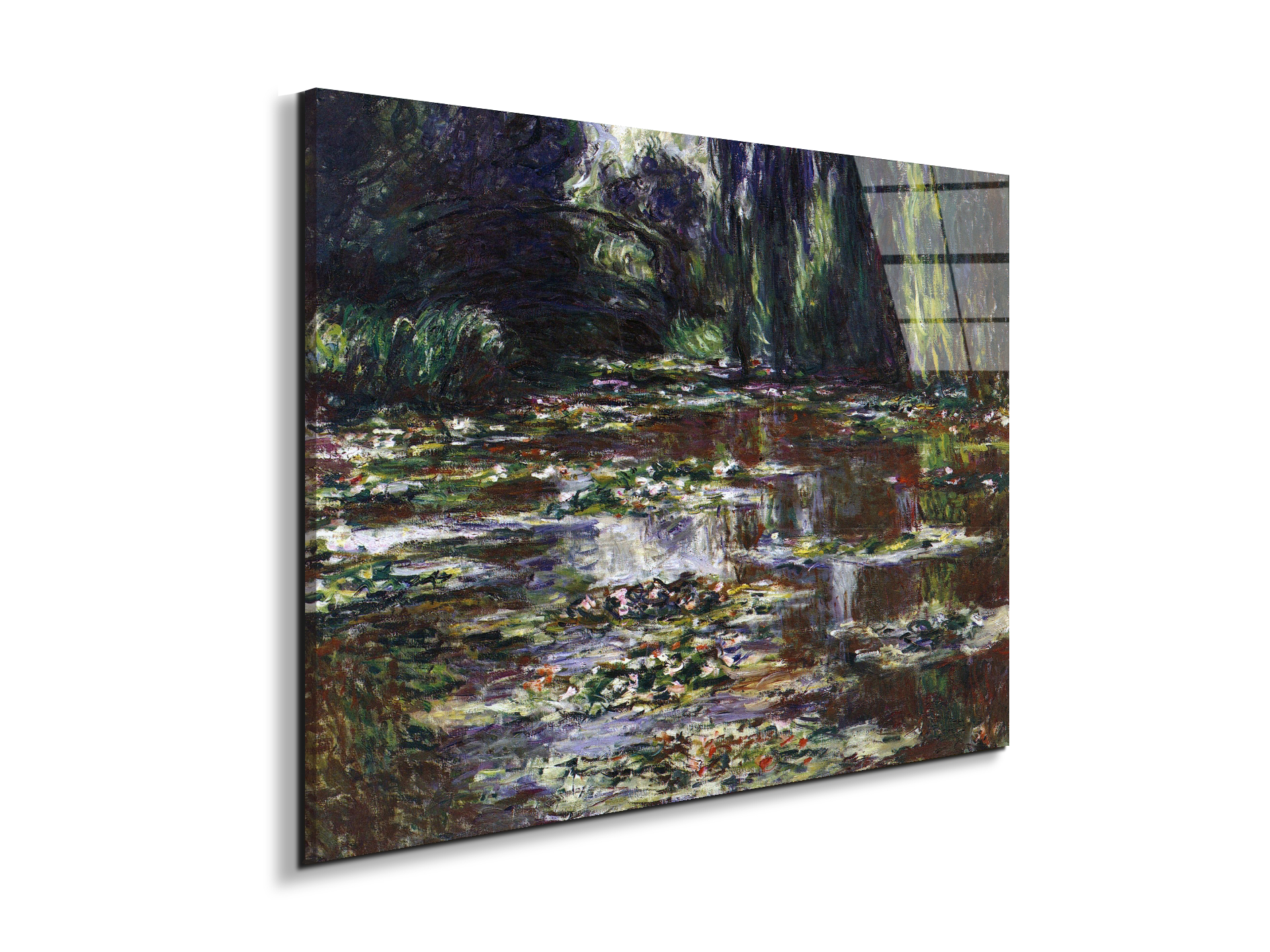 water-lilies-water-landscape-iiias92021-
