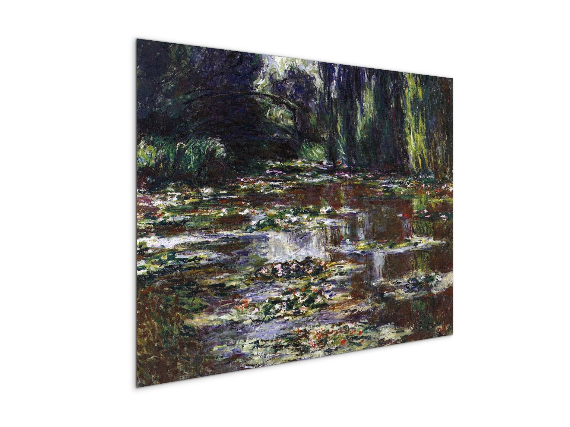 water-lilies-water-landscape-iiias92021-