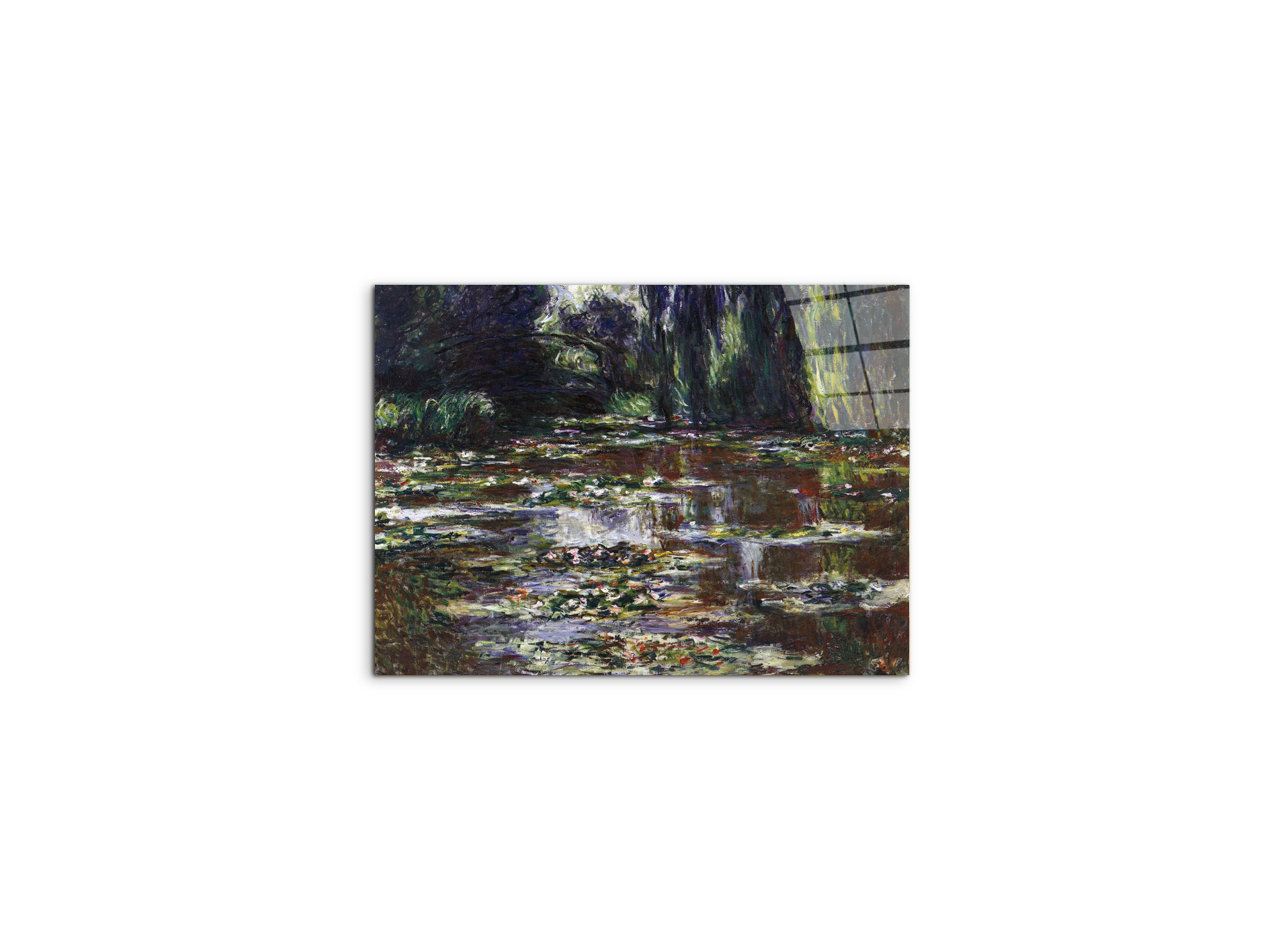 water-lilies-water-landscape-iiias92021-