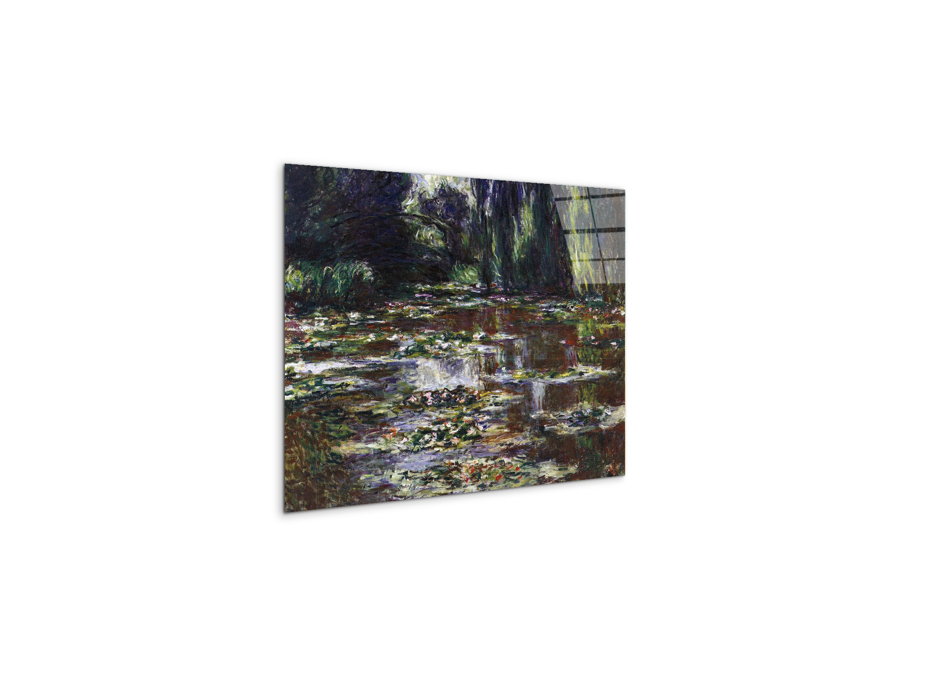 water-lilies-water-landscape-iiias92021-