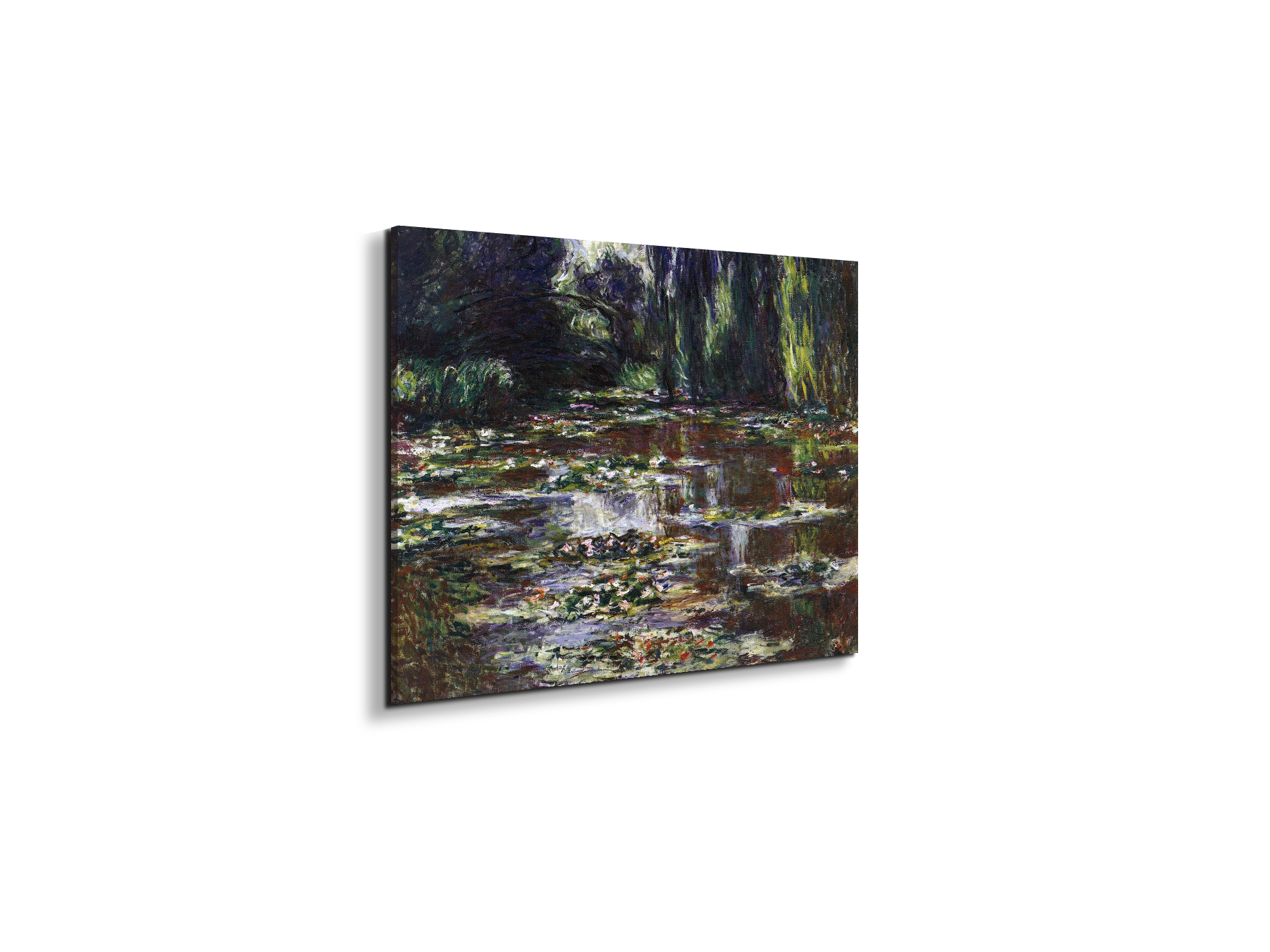 water-lilies-water-landscape-iiias92021-