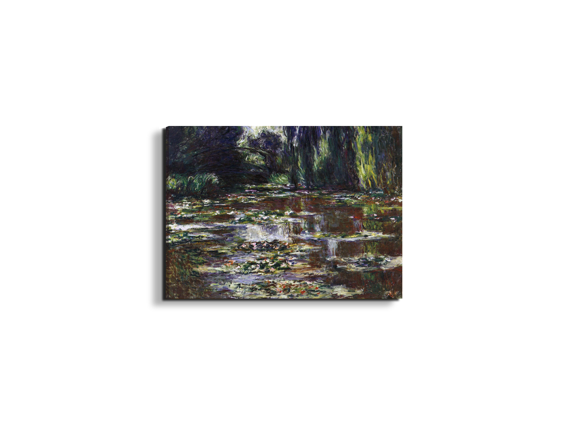 water-lilies-water-landscape-iiias92021-