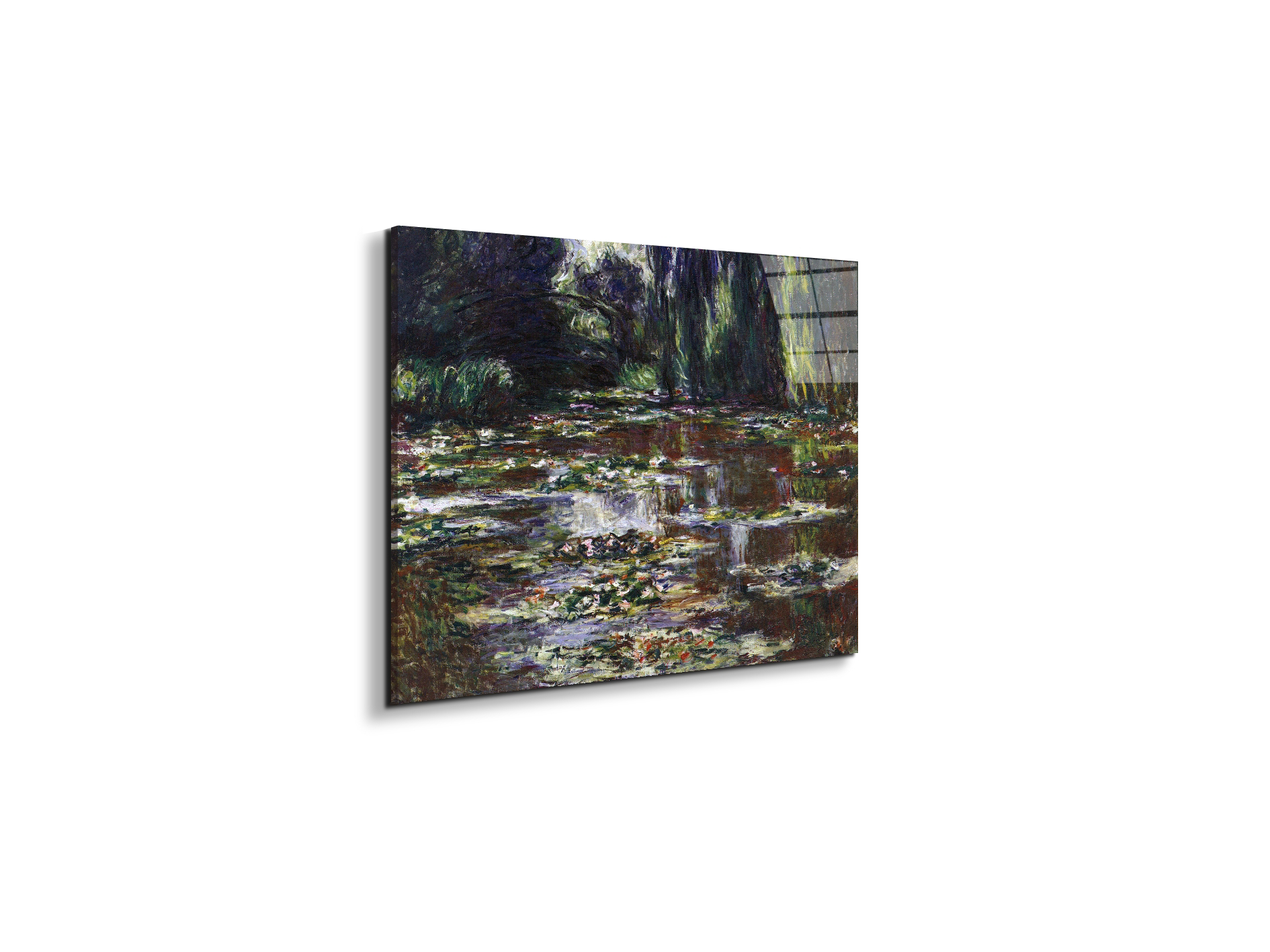 water-lilies-water-landscape-iiias92021-