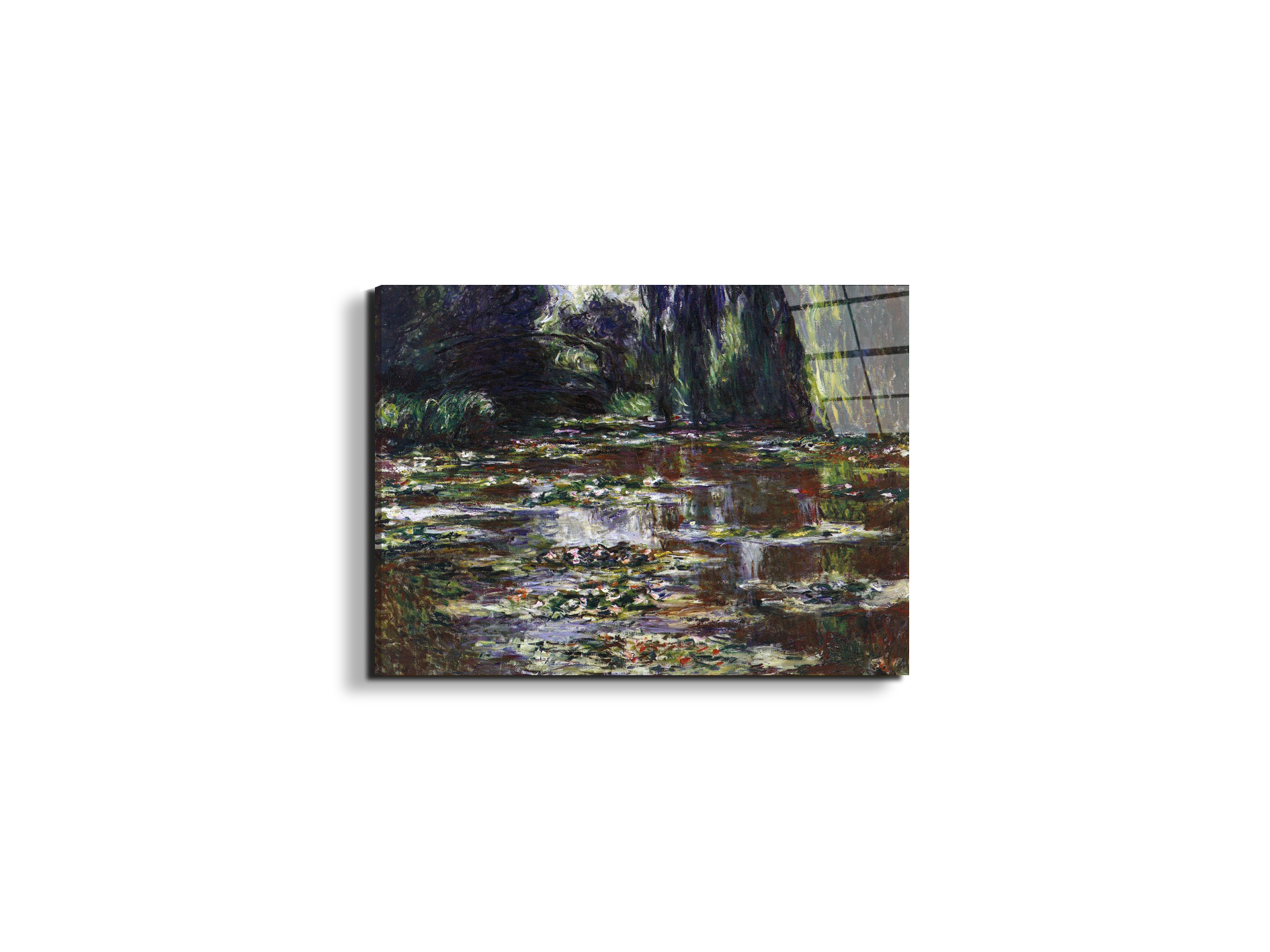 water-lilies-water-landscape-iiias92021-