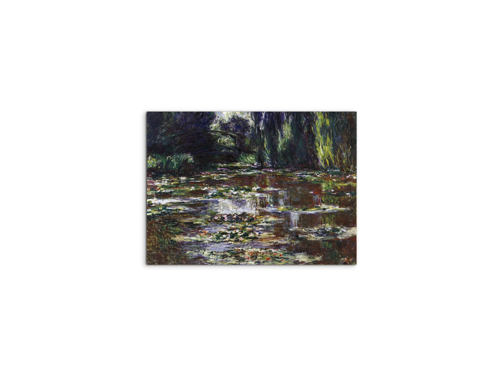 water-lilies-water-landscape-iiias92021-