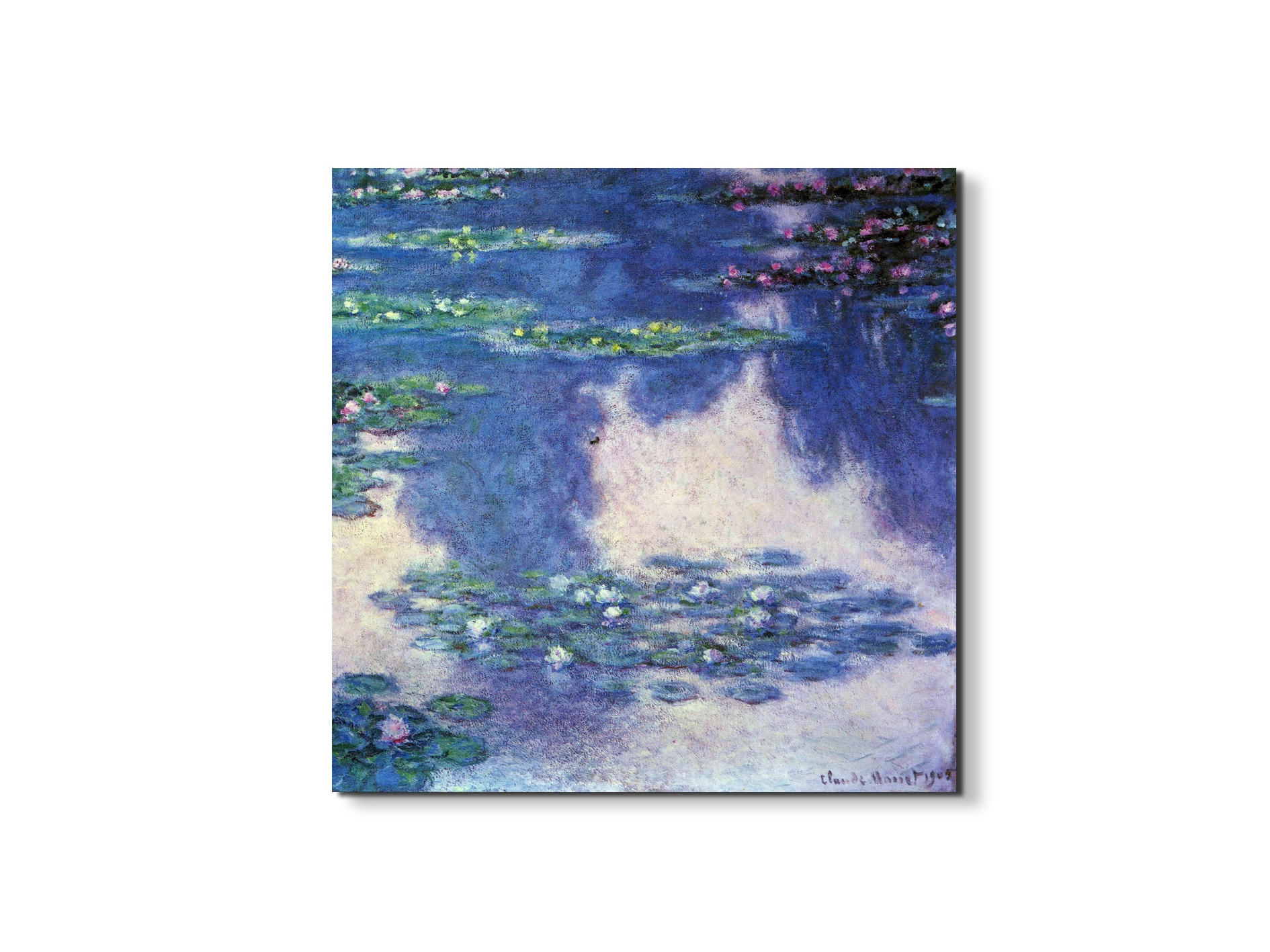 water-lilies-water-landscape-ivas92023-#materiale_EarthArt Materic/dimensioni_58x58