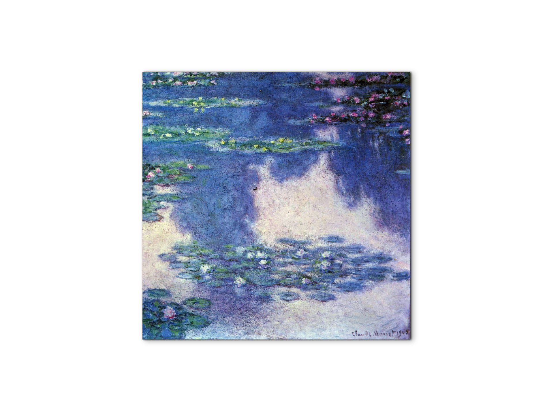 water-lilies-water-landscape-ivas92023-#materiale_MetalArt Materic/dimensioni_58x58