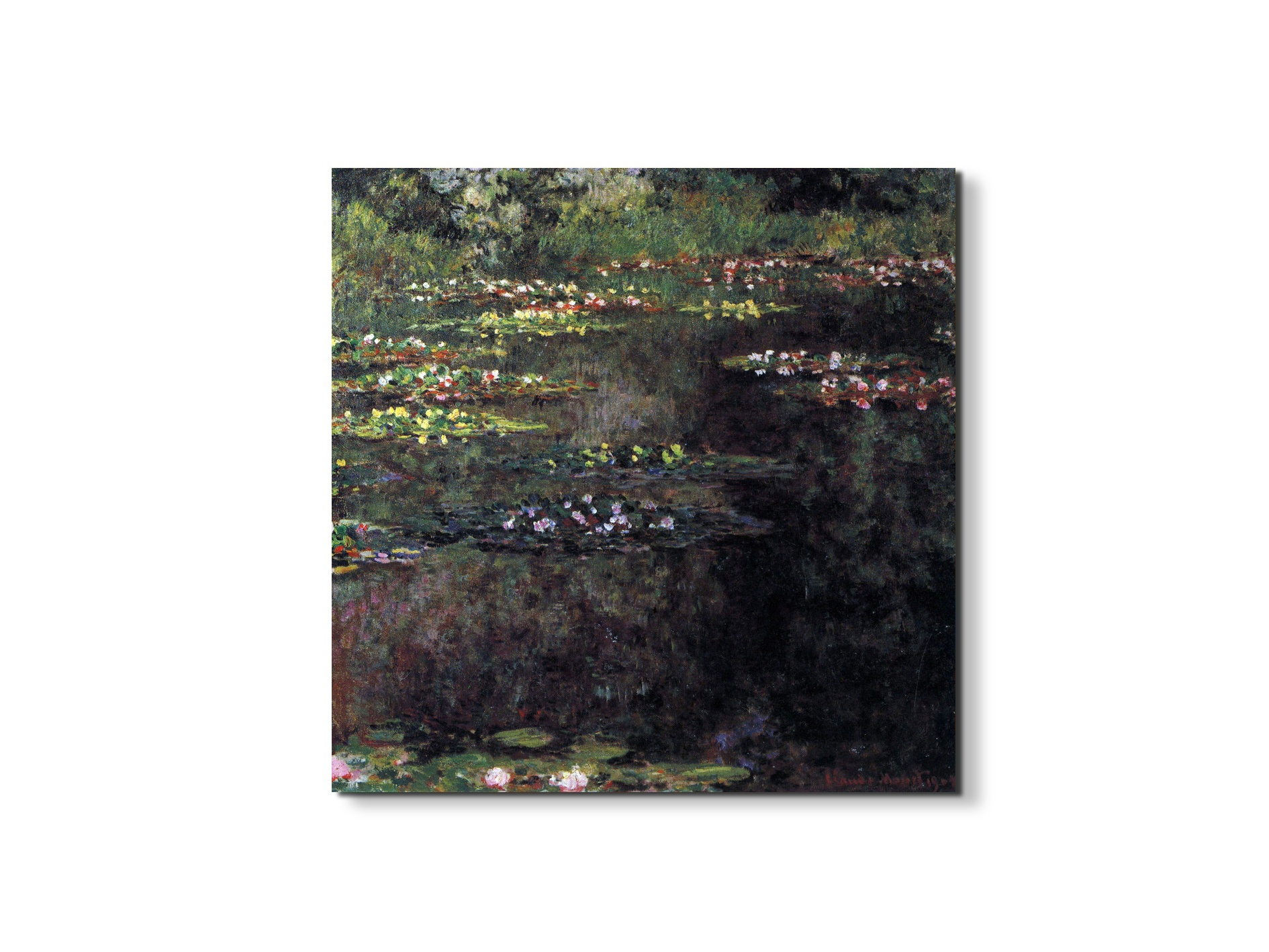 water-lilies-water-landscape-vas92027-#materiale_EarthArt Materic/dimensioni_58x58