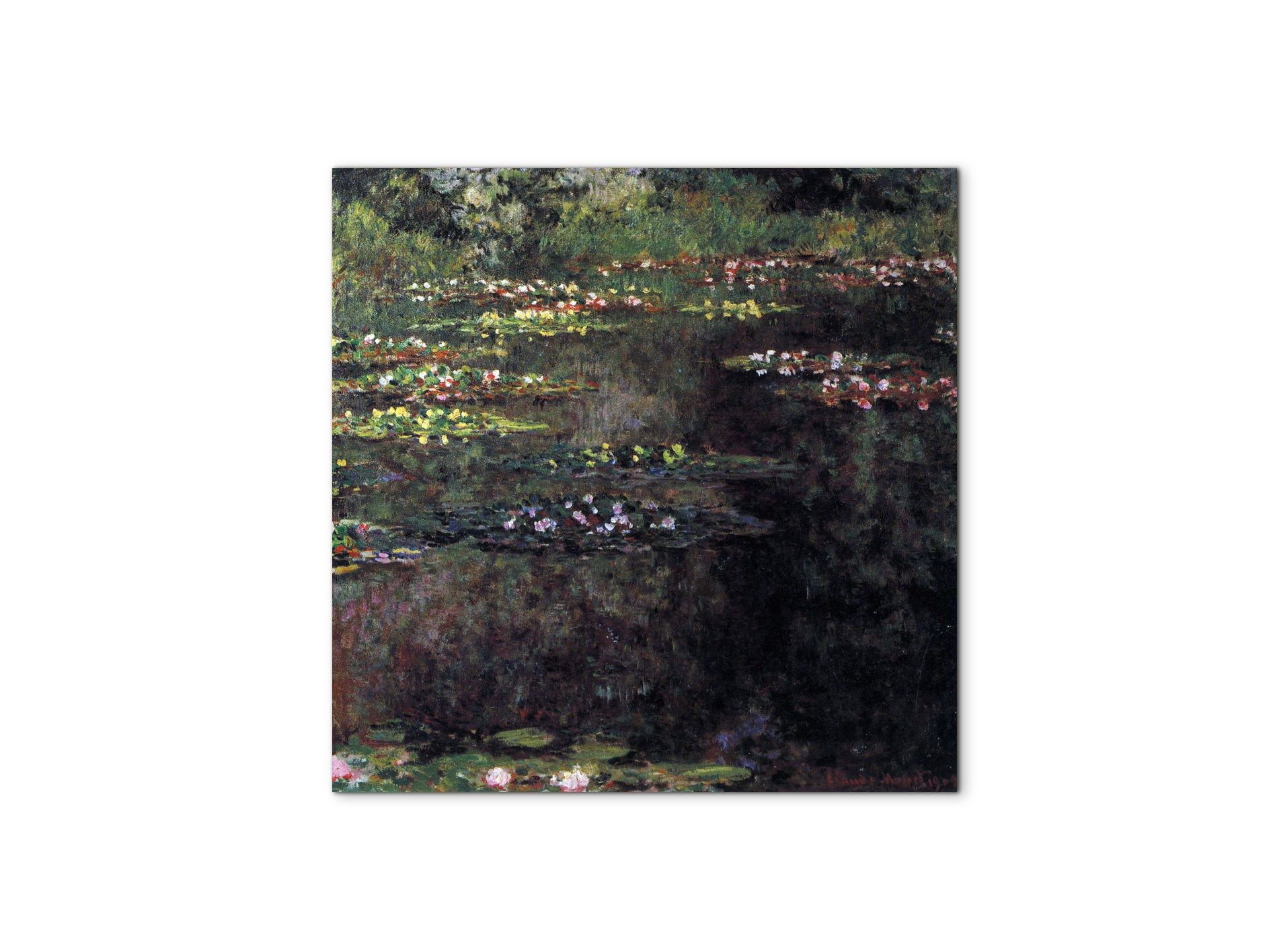 water-lilies-water-landscape-vas92027-#materiale_MetalArt Materic/dimensioni_58x58