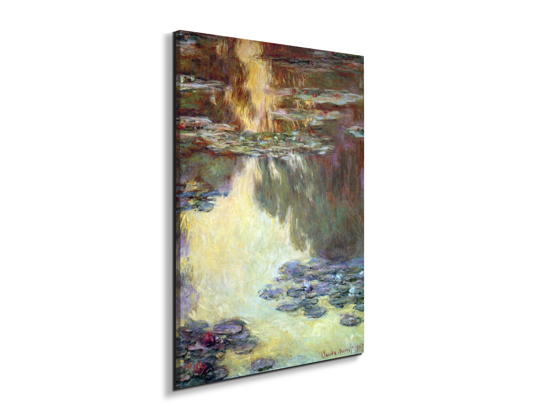 water-lilies-water-landscape-vias92031-