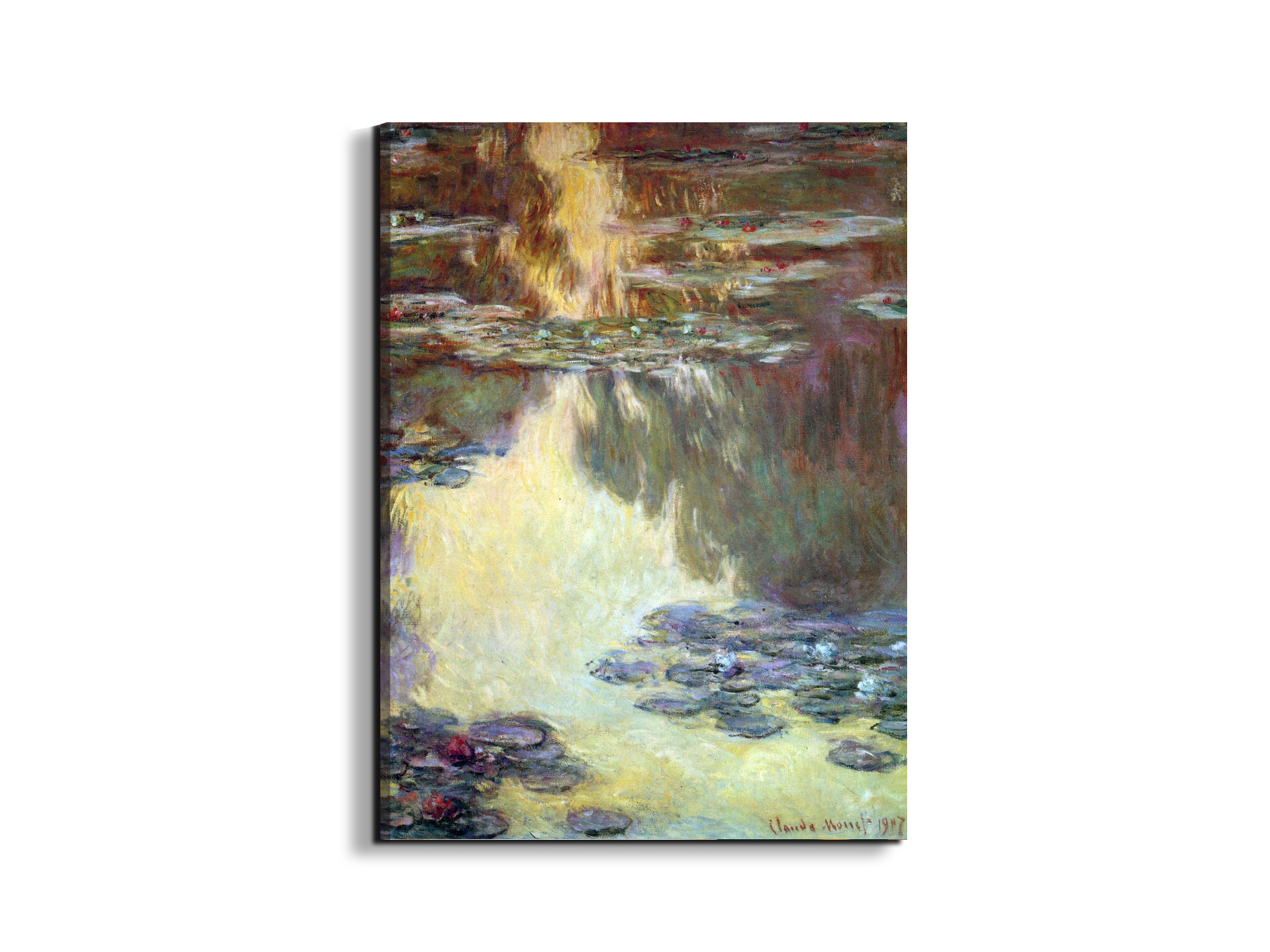 water-lilies-water-landscape-vias92031-
