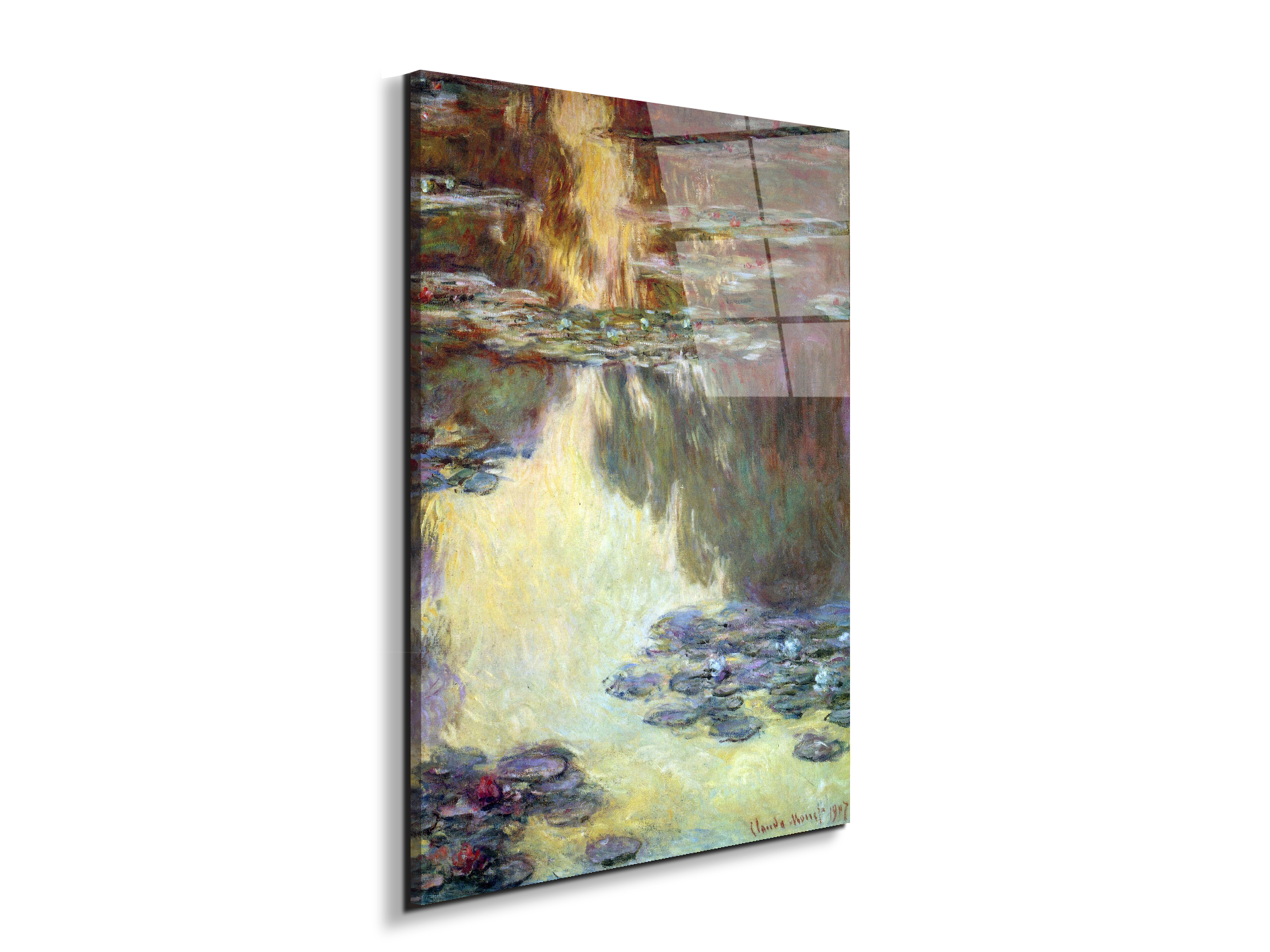 water-lilies-water-landscape-vias92031-