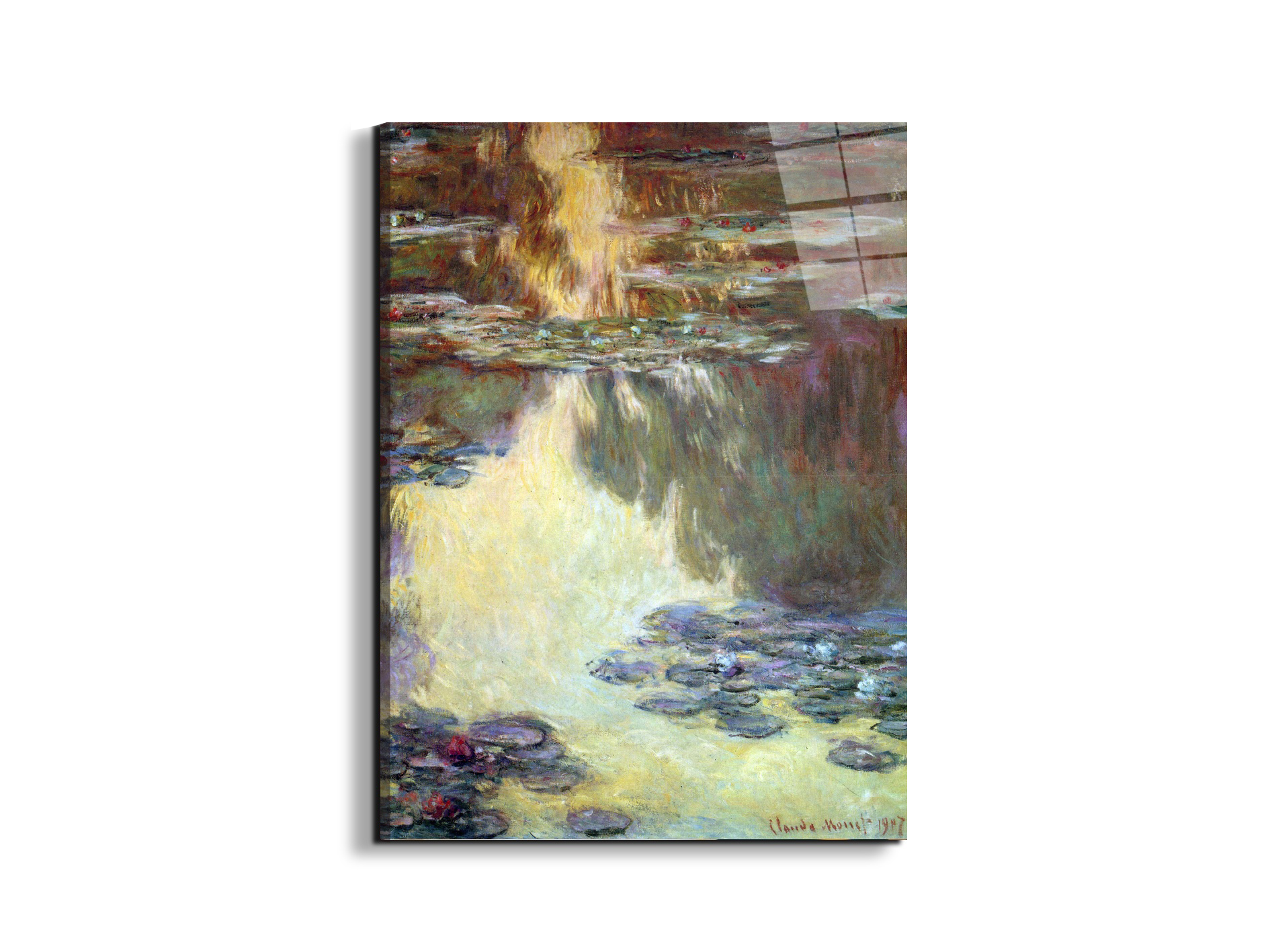 water-lilies-water-landscape-vias92031-