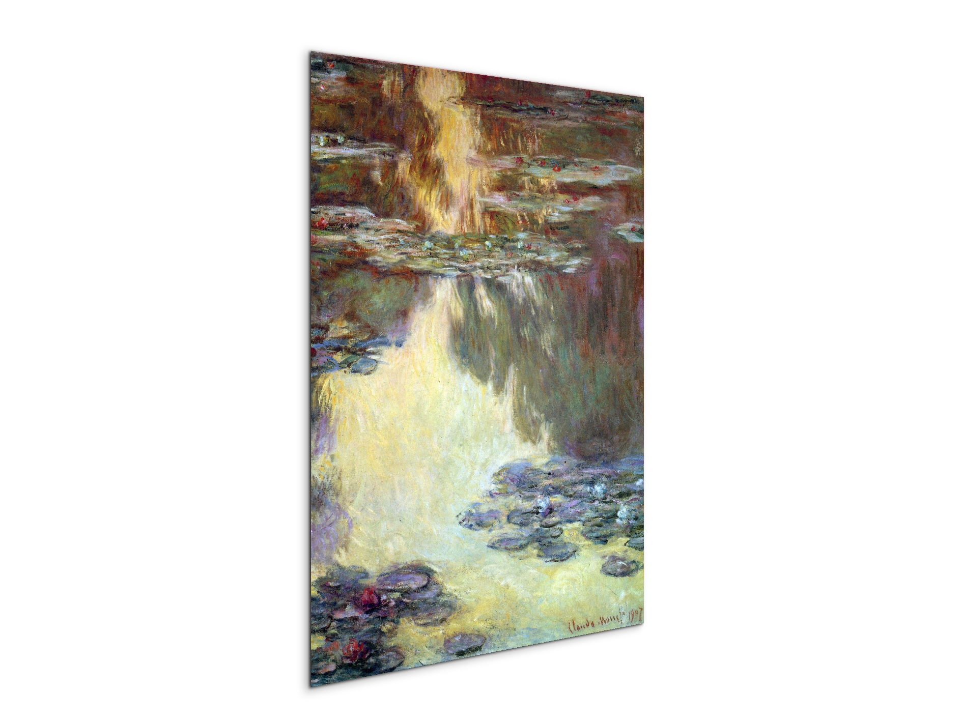 water-lilies-water-landscape-vias92031-