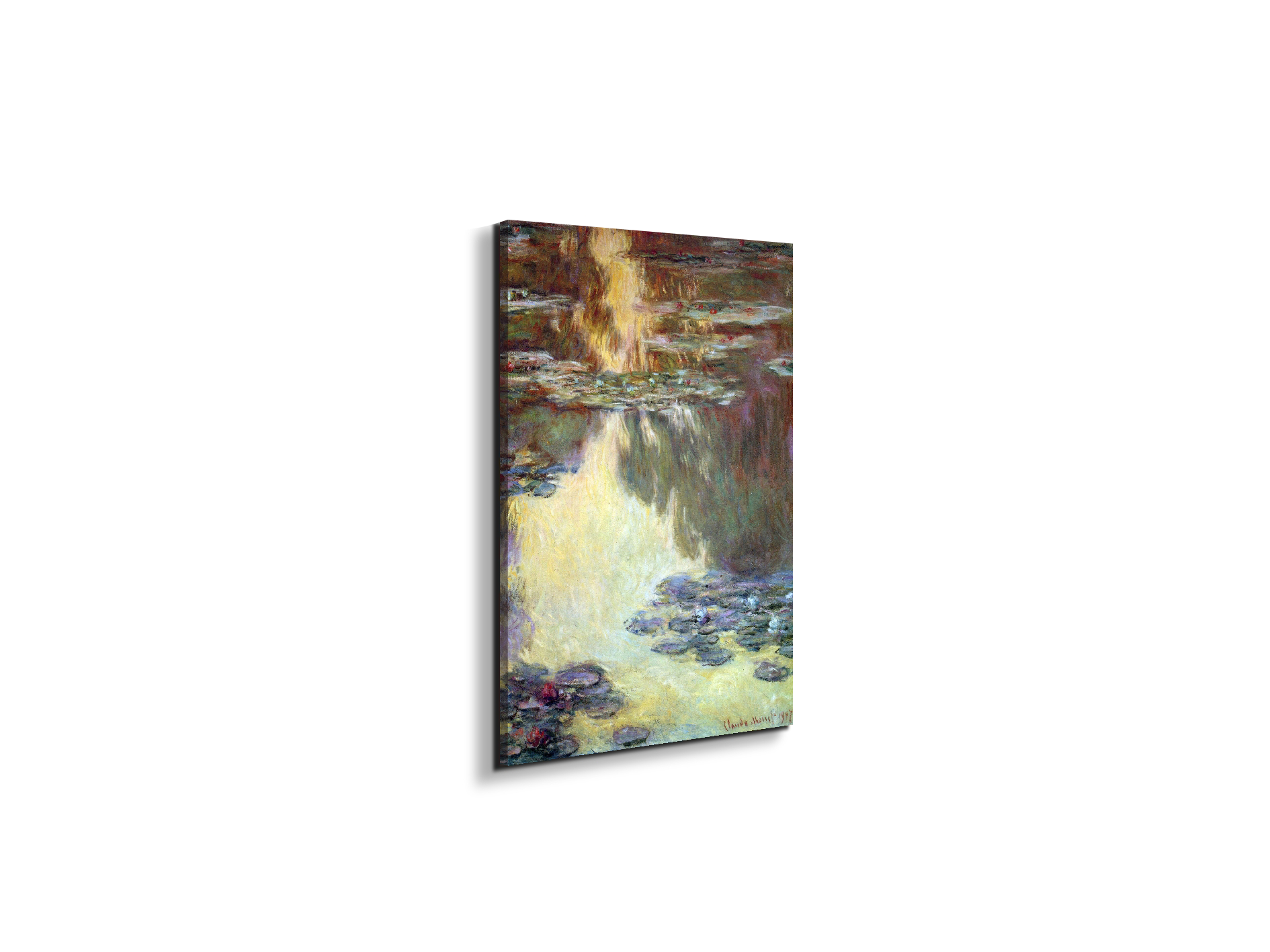 water-lilies-water-landscape-vias92031-