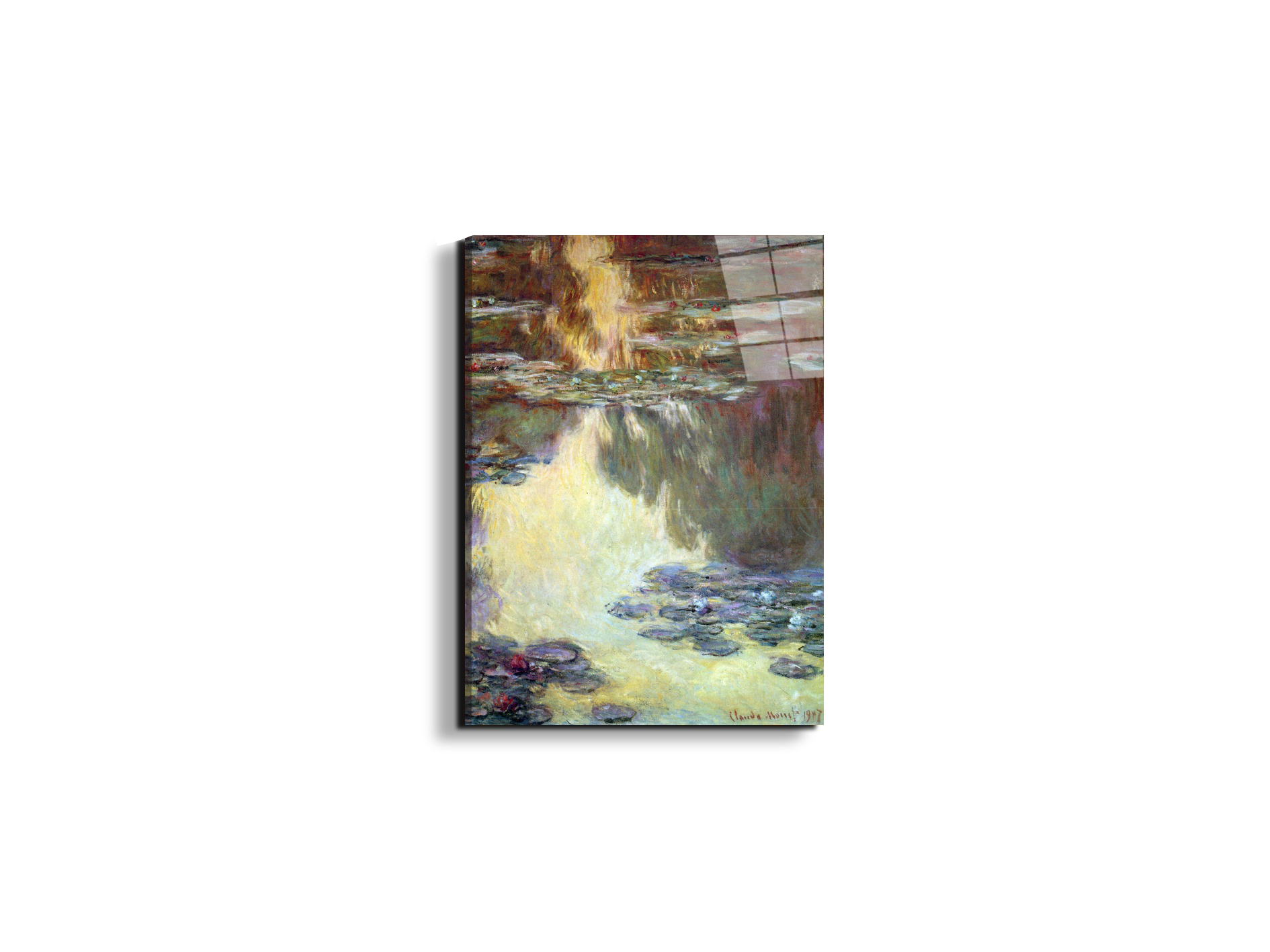 water-lilies-water-landscape-vias92031-