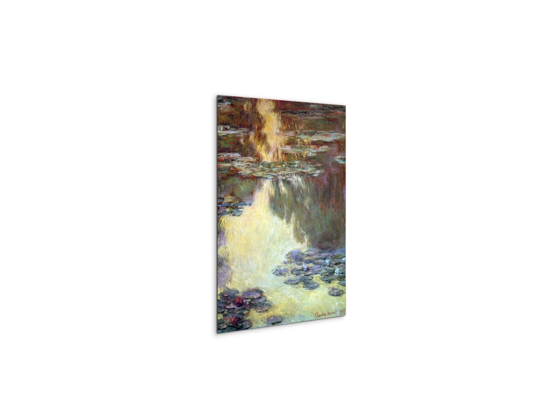 water-lilies-water-landscape-vias92031-
