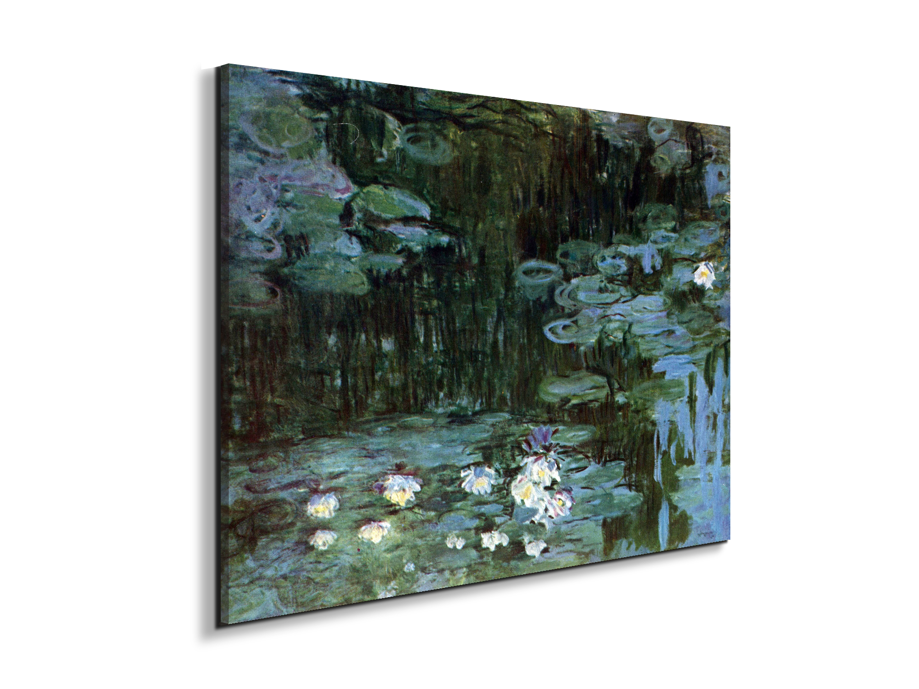 water-lillies-ias92037-