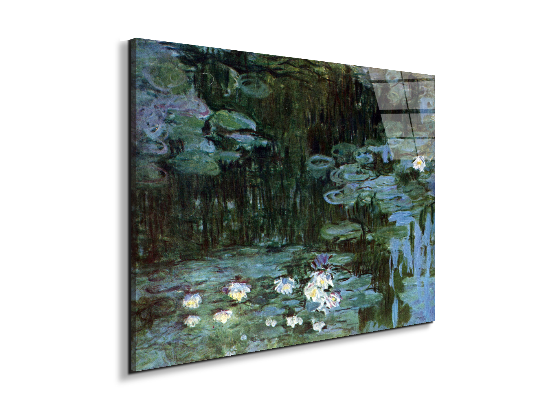water-lillies-ias92037-