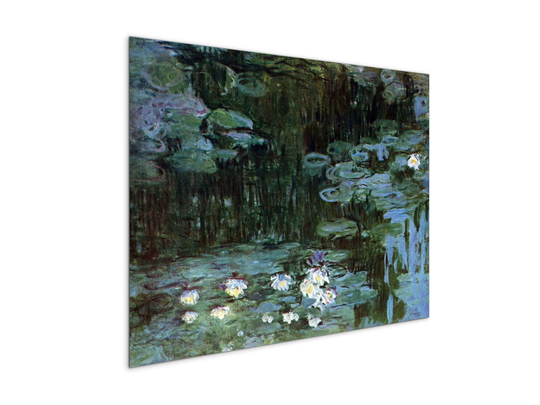 water-lillies-ias92037-