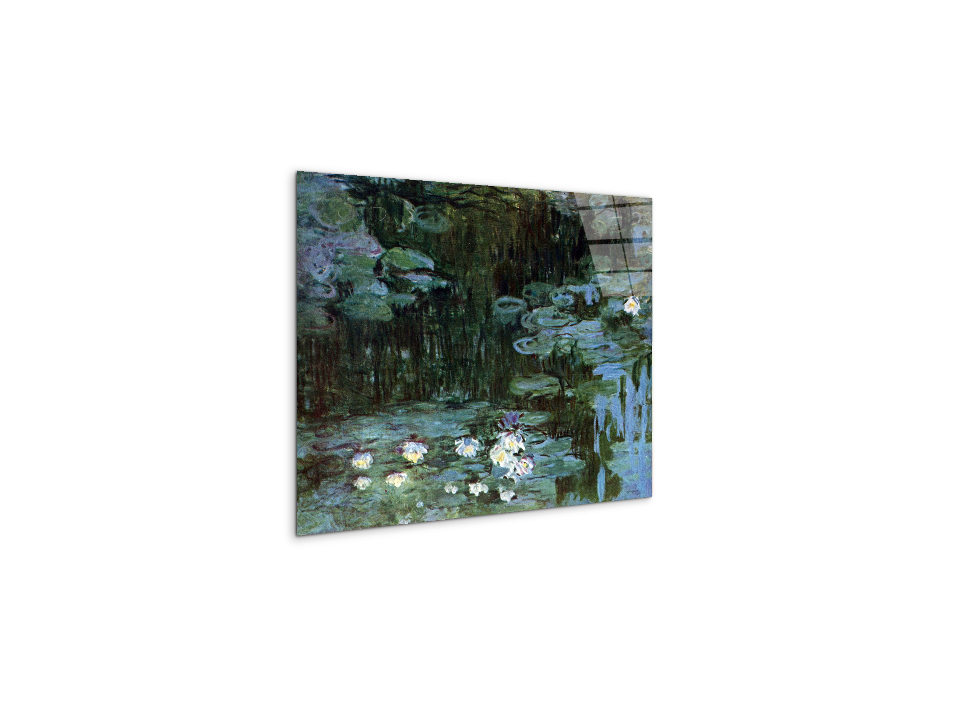 water-lillies-ias92037-