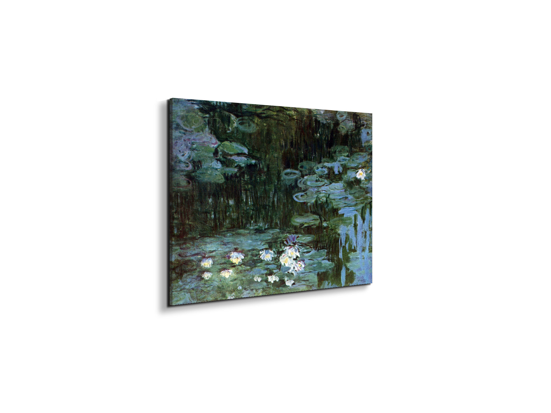 water-lillies-ias92037-